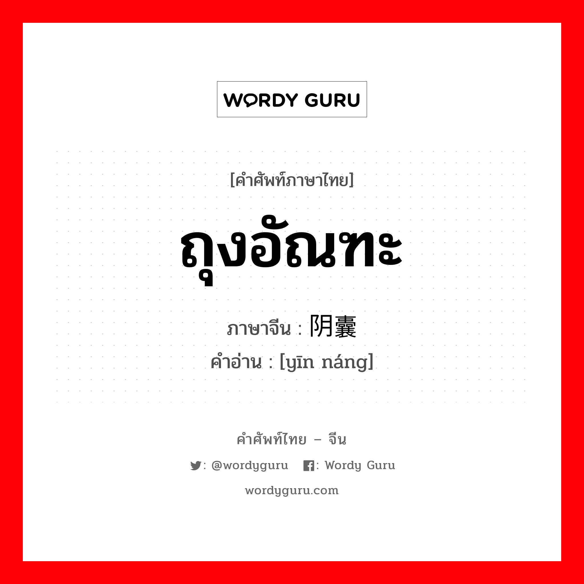 ถุงอัณฑะ ภาษาจีนคืออะไร, คำศัพท์ภาษาไทย - จีน ถุงอัณฑะ ภาษาจีน 阴囊 คำอ่าน [yīn náng]