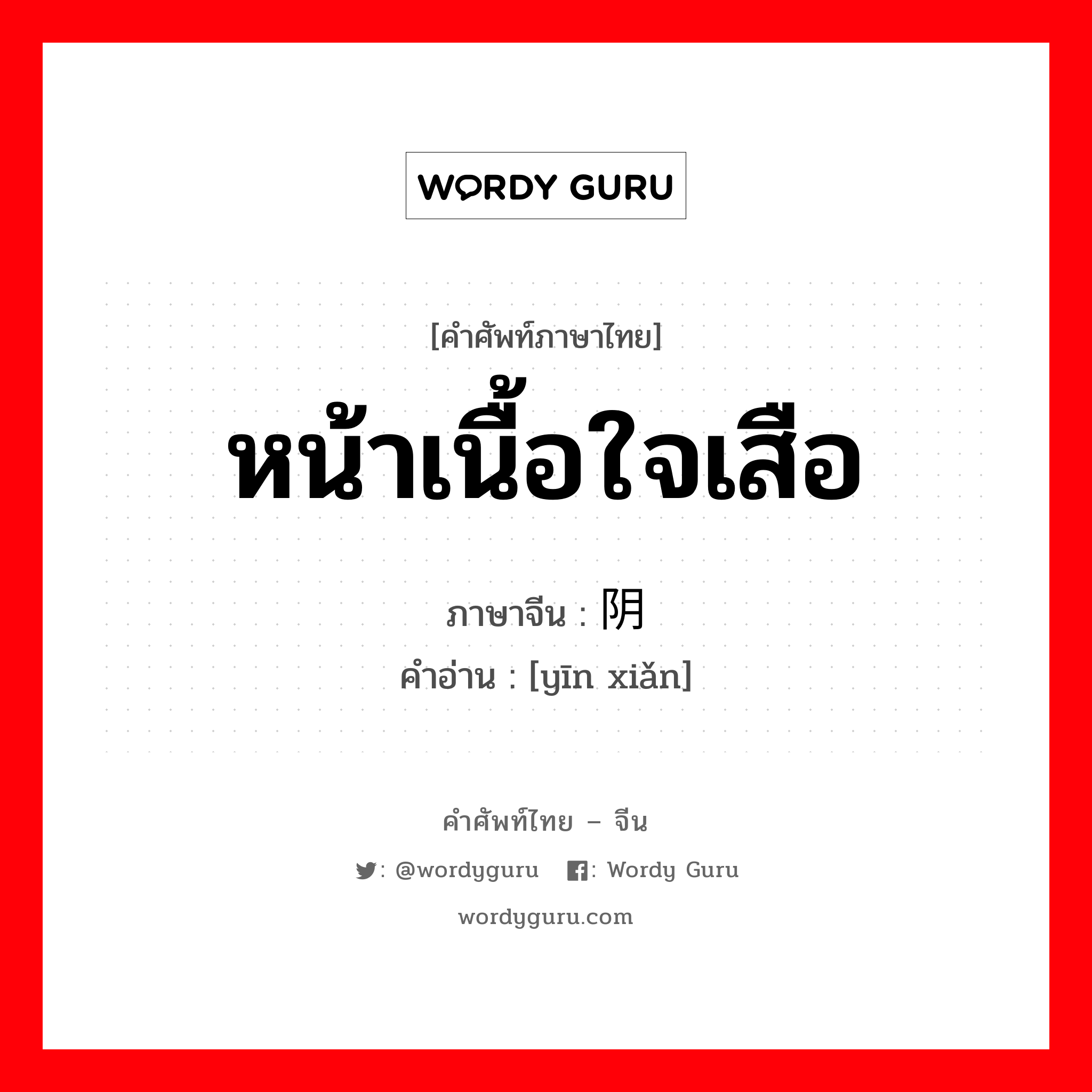 หน้าเนื้อใจเสือ ภาษาจีนคืออะไร, คำศัพท์ภาษาไทย - จีน หน้าเนื้อใจเสือ ภาษาจีน 阴险 คำอ่าน [yīn xiǎn]