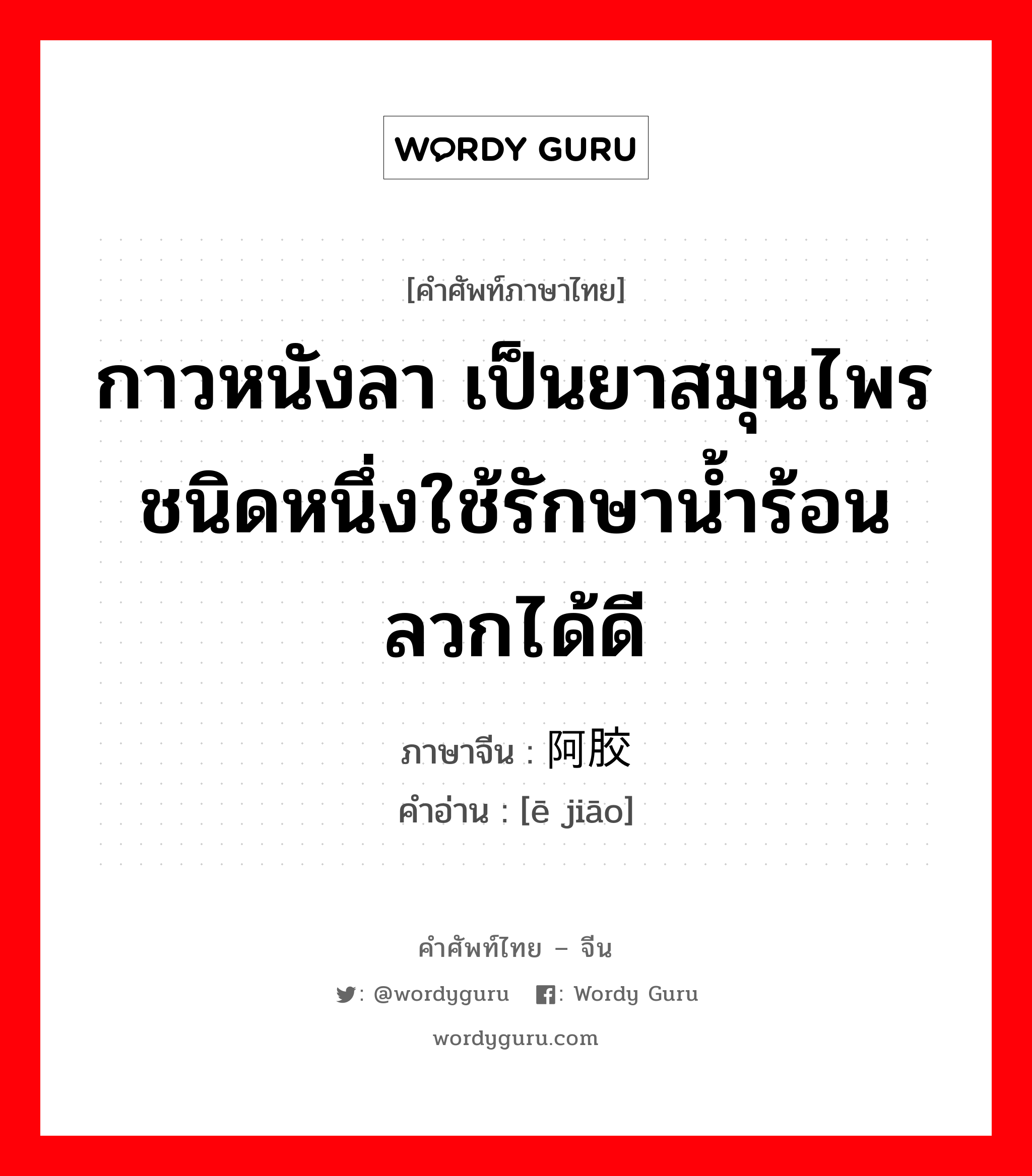 กาวหนังลา เป็นยาสมุนไพรชนิดหนึ่งใช้รักษาน้ำร้อนลวกได้ดี ภาษาจีนคืออะไร, คำศัพท์ภาษาไทย - จีน กาวหนังลา เป็นยาสมุนไพรชนิดหนึ่งใช้รักษาน้ำร้อนลวกได้ดี ภาษาจีน 阿胶 คำอ่าน [ē jiāo]