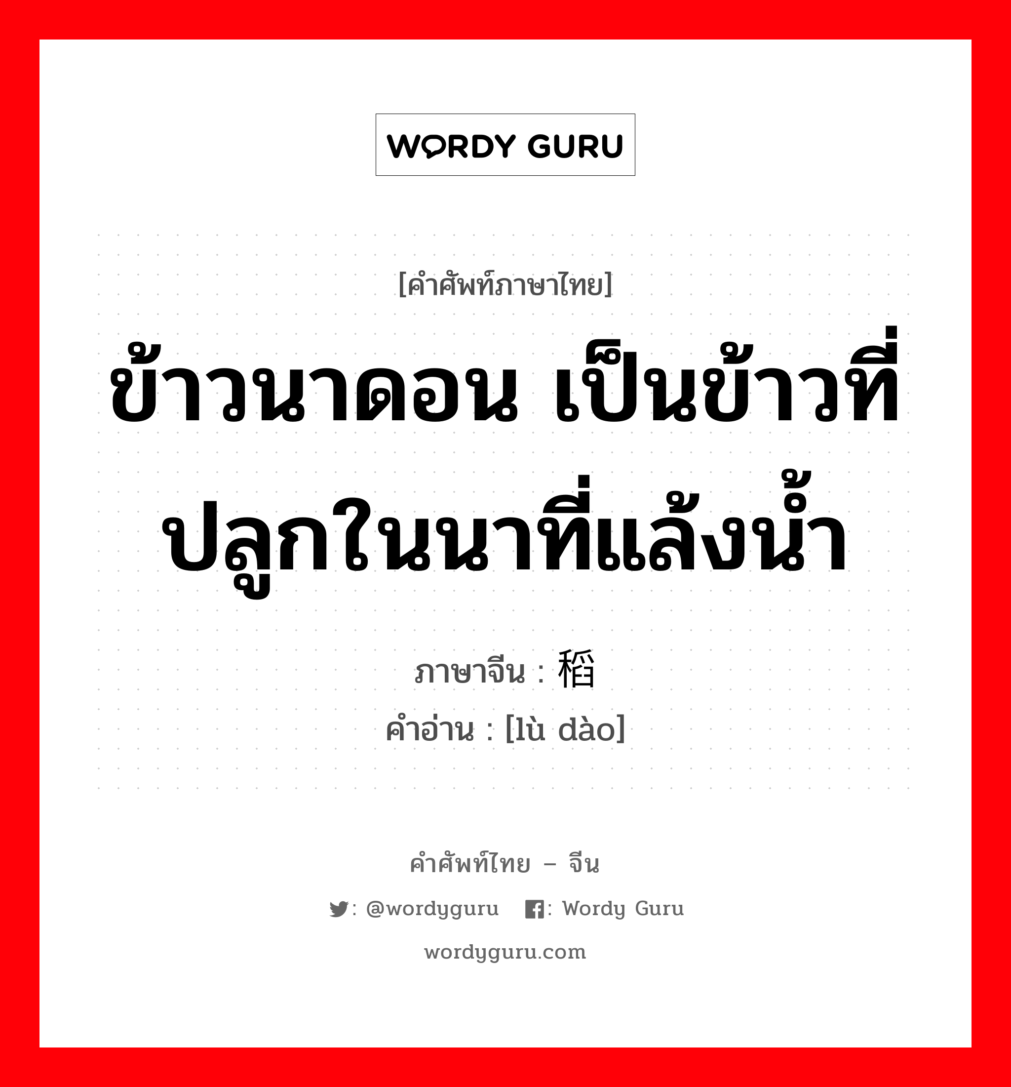 ข้าวนาดอน เป็นข้าวที่ปลูกในนาที่แล้งน้ำ ภาษาจีนคืออะไร, คำศัพท์ภาษาไทย - จีน ข้าวนาดอน เป็นข้าวที่ปลูกในนาที่แล้งน้ำ ภาษาจีน 陆稻 คำอ่าน [lù dào]