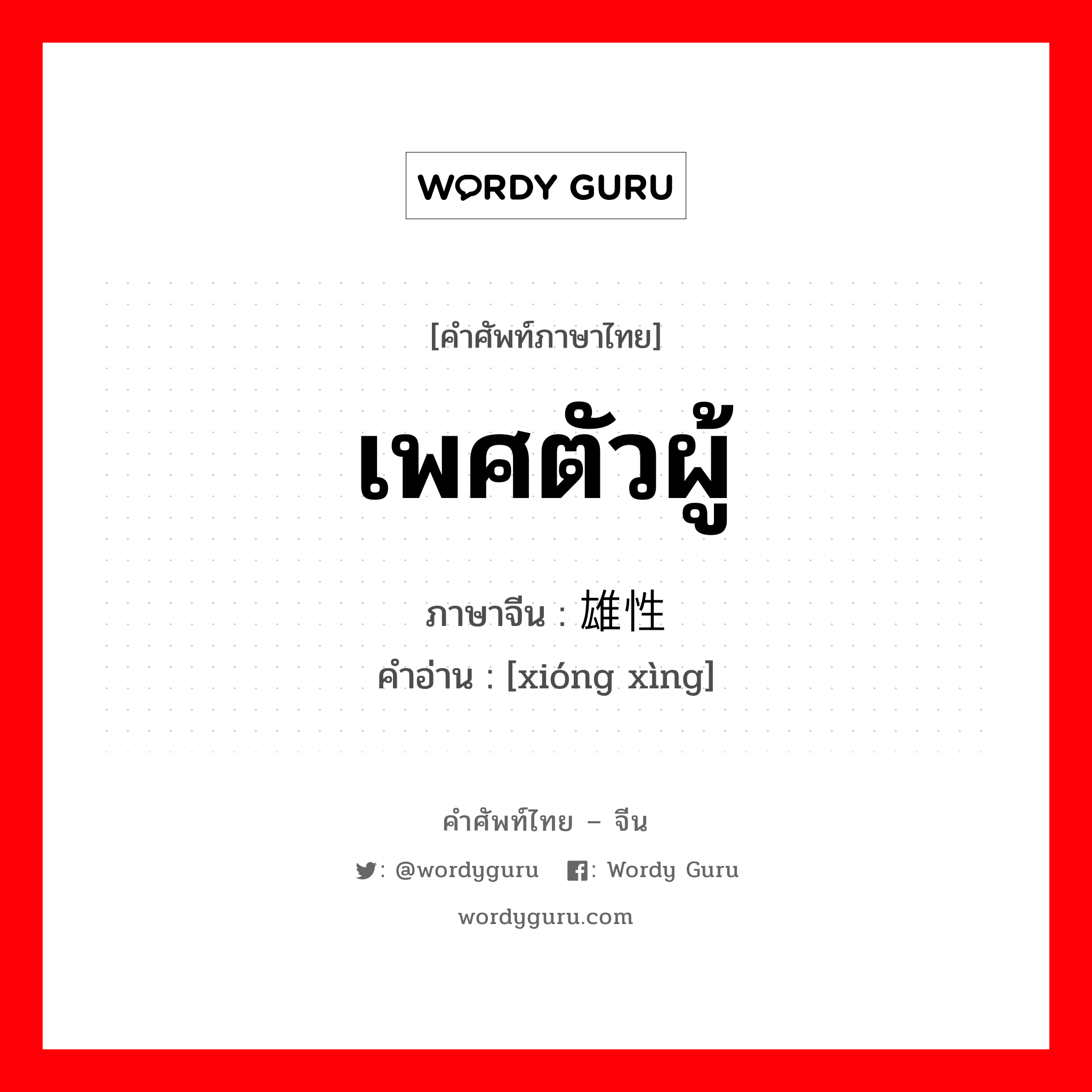 เพศตัวผู้ ภาษาจีนคืออะไร, คำศัพท์ภาษาไทย - จีน เพศตัวผู้ ภาษาจีน 雄性 คำอ่าน [xióng xìng]