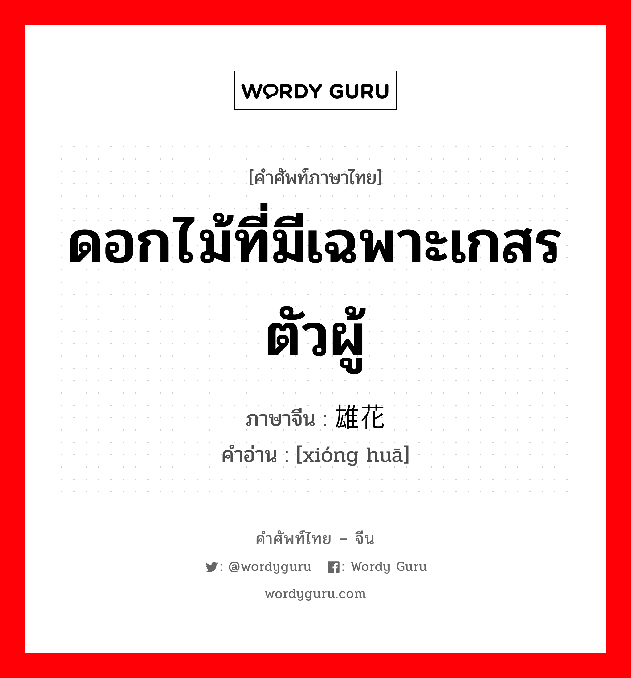 ดอกไม้ที่มีเฉพาะเกสรตัวผู้ ภาษาจีนคืออะไร, คำศัพท์ภาษาไทย - จีน ดอกไม้ที่มีเฉพาะเกสรตัวผู้ ภาษาจีน 雄花 คำอ่าน [xióng huā]