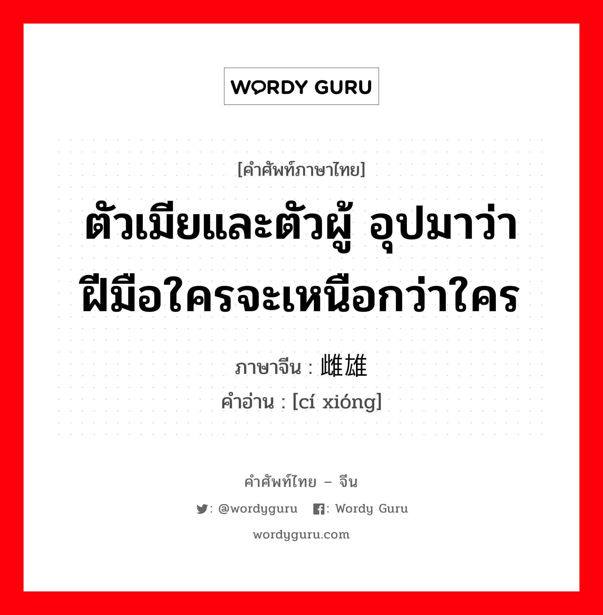 ตัวเมียและตัวผู้ อุปมาว่า ฝีมือใครจะเหนือกว่าใคร ภาษาจีนคืออะไร, คำศัพท์ภาษาไทย - จีน ตัวเมียและตัวผู้ อุปมาว่า ฝีมือใครจะเหนือกว่าใคร ภาษาจีน 雌雄 คำอ่าน [cí xióng]