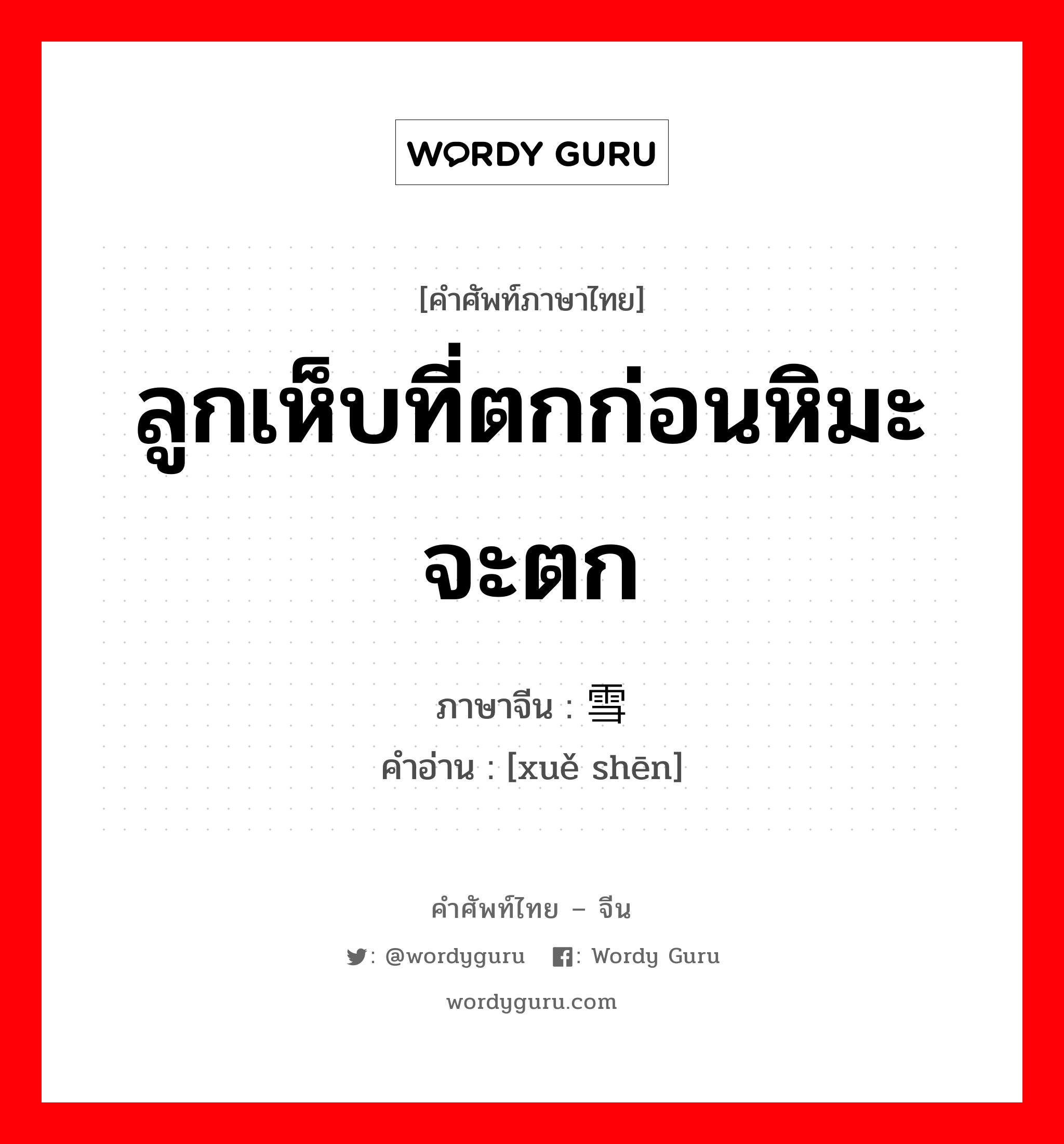 ลูกเห็บที่ตกก่อนหิมะจะตก ภาษาจีนคืออะไร, คำศัพท์ภาษาไทย - จีน ลูกเห็บที่ตกก่อนหิมะจะตก ภาษาจีน 雪糁 คำอ่าน [xuě shēn]