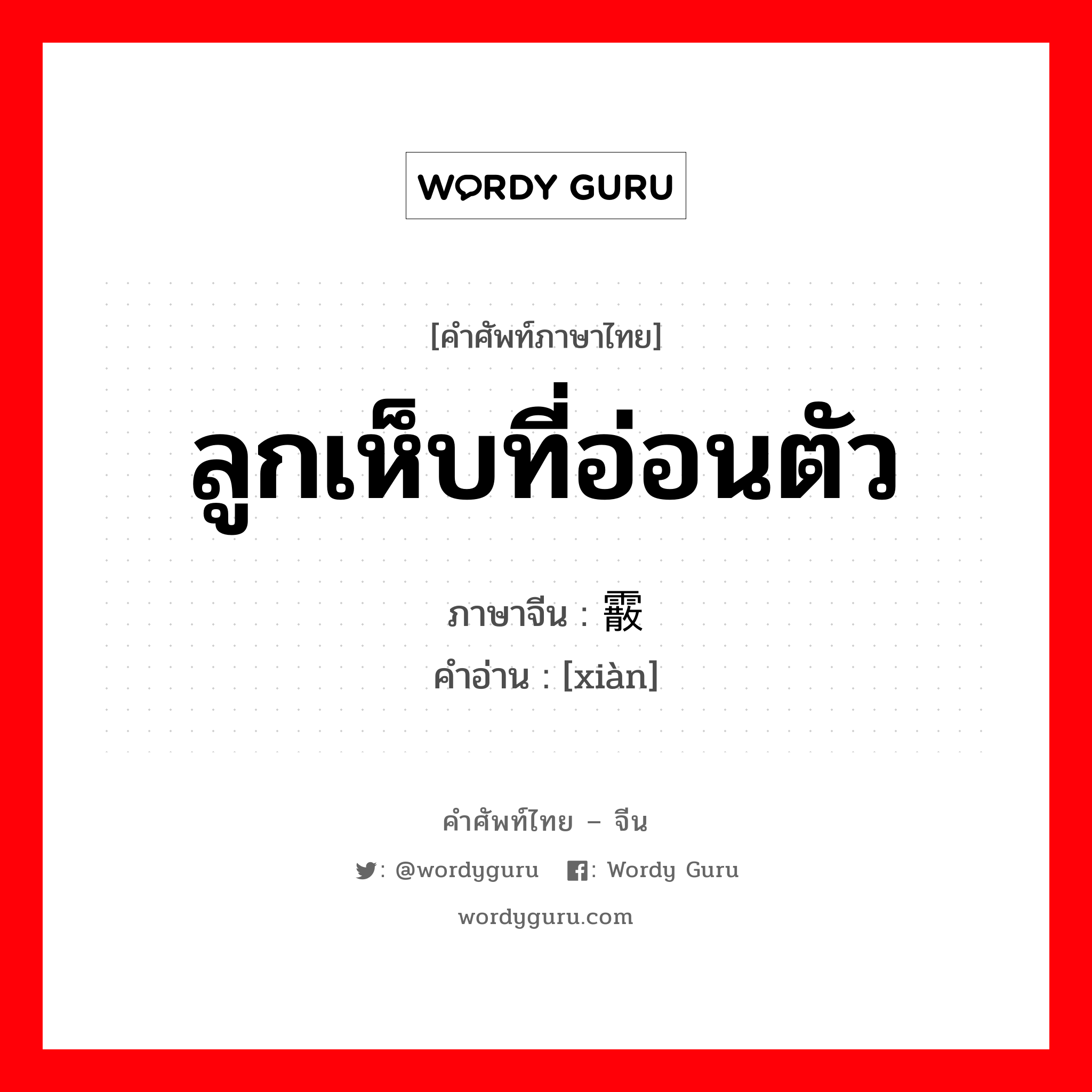 ลูกเห็บที่อ่อนตัว ภาษาจีนคืออะไร, คำศัพท์ภาษาไทย - จีน ลูกเห็บที่อ่อนตัว ภาษาจีน 霰 คำอ่าน [xiàn]