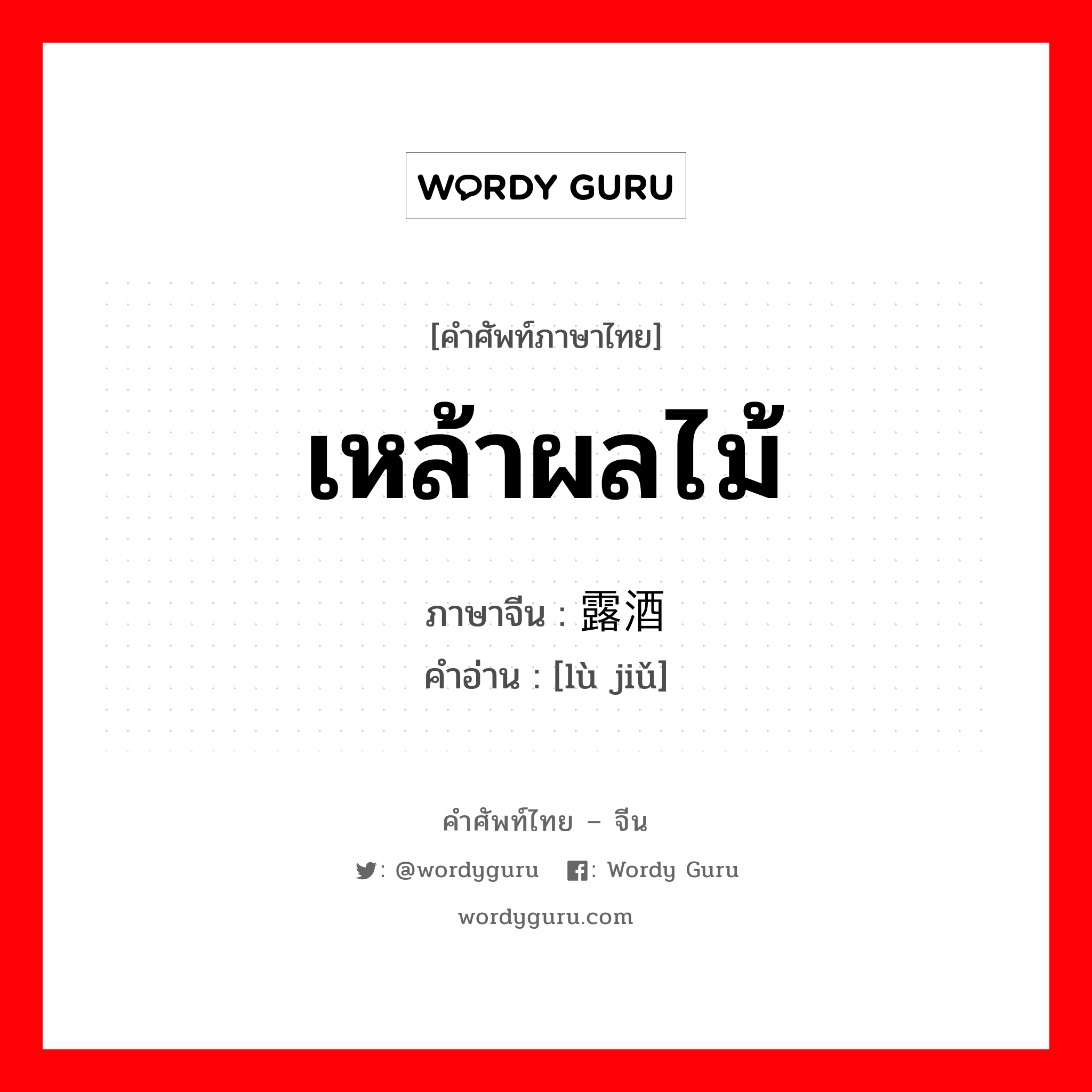 เหล้าผลไม้ ภาษาจีนคืออะไร, คำศัพท์ภาษาไทย - จีน เหล้าผลไม้ ภาษาจีน 露酒 คำอ่าน [lù jiǔ]