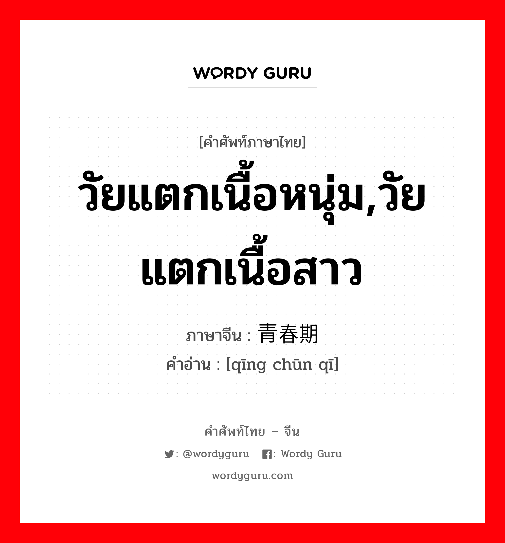 วัยแตกเนื้อหนุ่ม,วัยแตกเนื้อสาว ภาษาจีนคืออะไร, คำศัพท์ภาษาไทย - จีน วัยแตกเนื้อหนุ่ม,วัยแตกเนื้อสาว ภาษาจีน 青春期 คำอ่าน [qīng chūn qī]