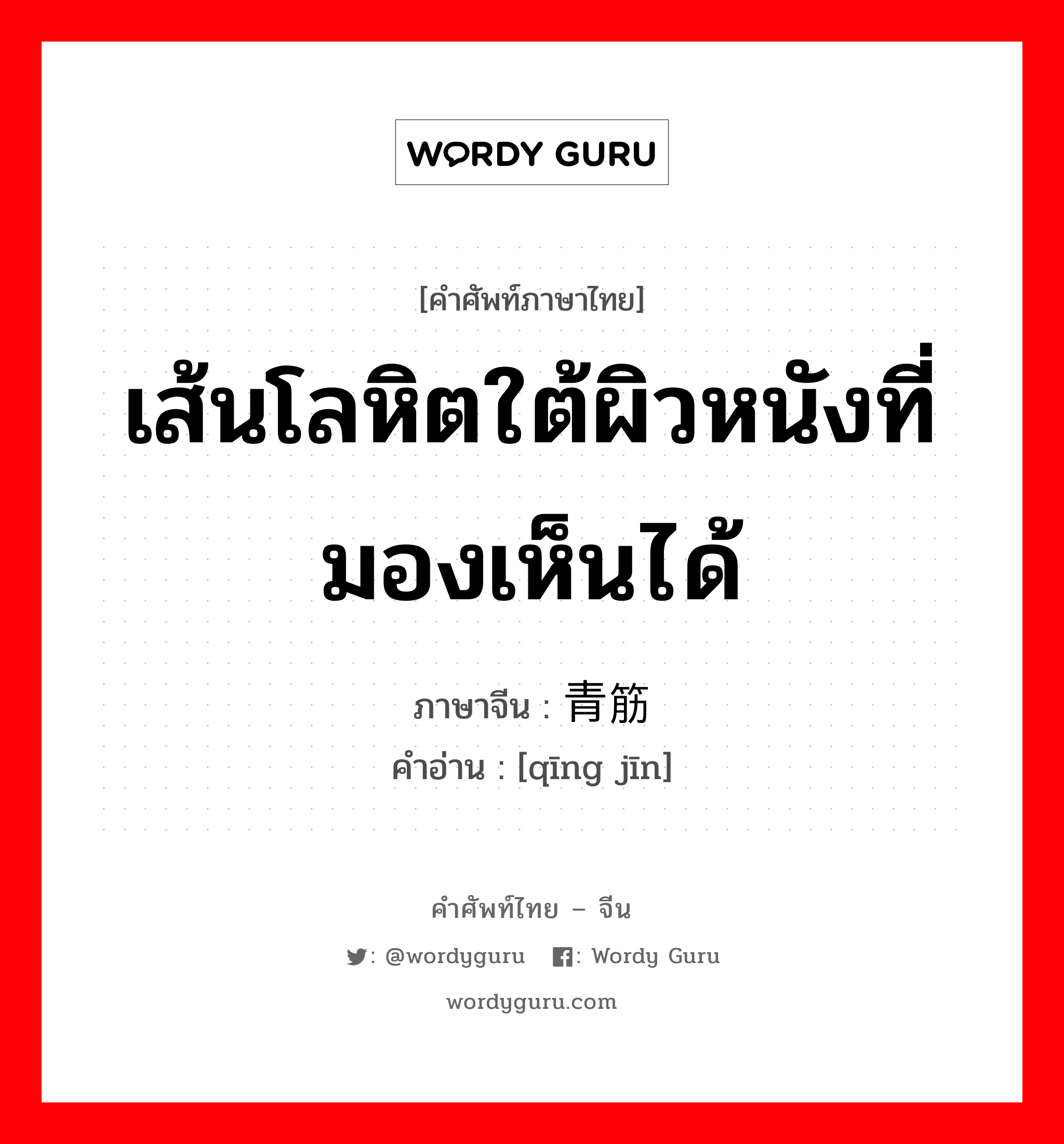 เส้นโลหิตใต้ผิวหนังที่มองเห็นได้ ภาษาจีนคืออะไร, คำศัพท์ภาษาไทย - จีน เส้นโลหิตใต้ผิวหนังที่มองเห็นได้ ภาษาจีน 青筋 คำอ่าน [qīng jīn]