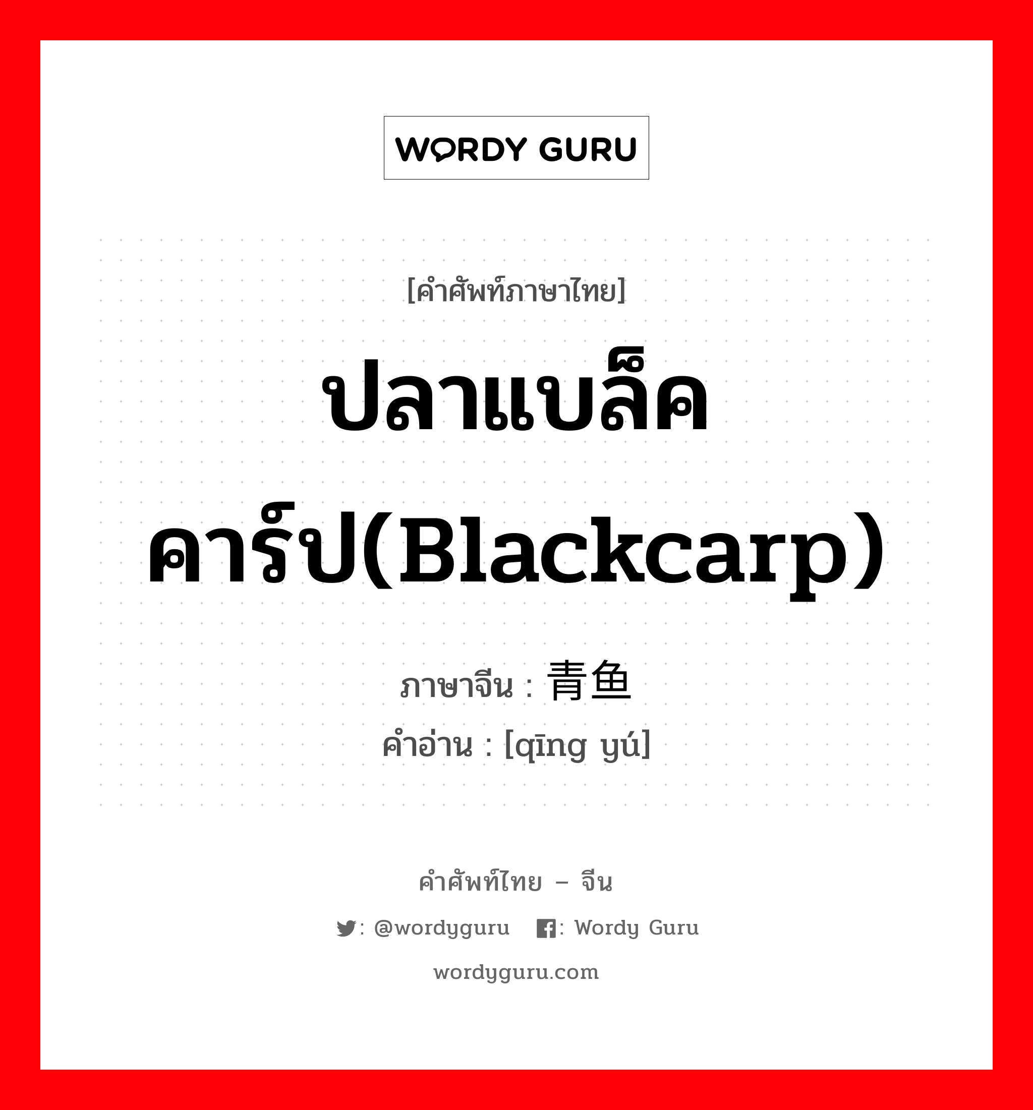 ปลาแบล็คคาร์ป(blackcarp) ภาษาจีนคืออะไร, คำศัพท์ภาษาไทย - จีน ปลาแบล็คคาร์ป(blackcarp) ภาษาจีน 青鱼 คำอ่าน [qīng yú]