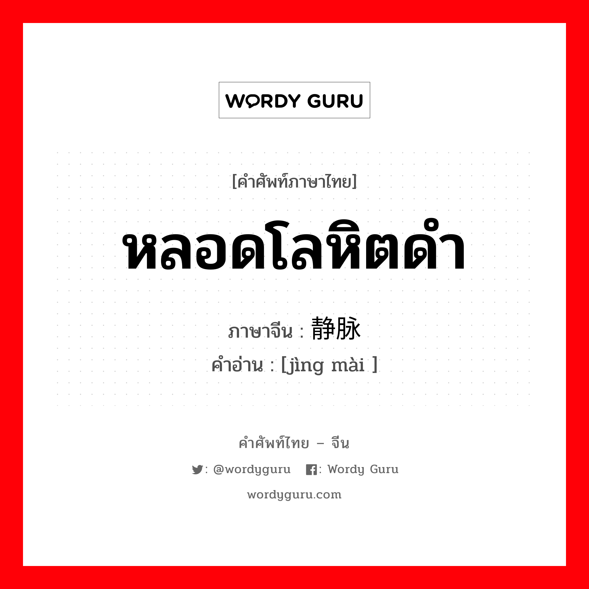 หลอดโลหิตดำ ภาษาจีนคืออะไร, คำศัพท์ภาษาไทย - จีน หลอดโลหิตดำ ภาษาจีน 静脉 คำอ่าน [jìng mài ]