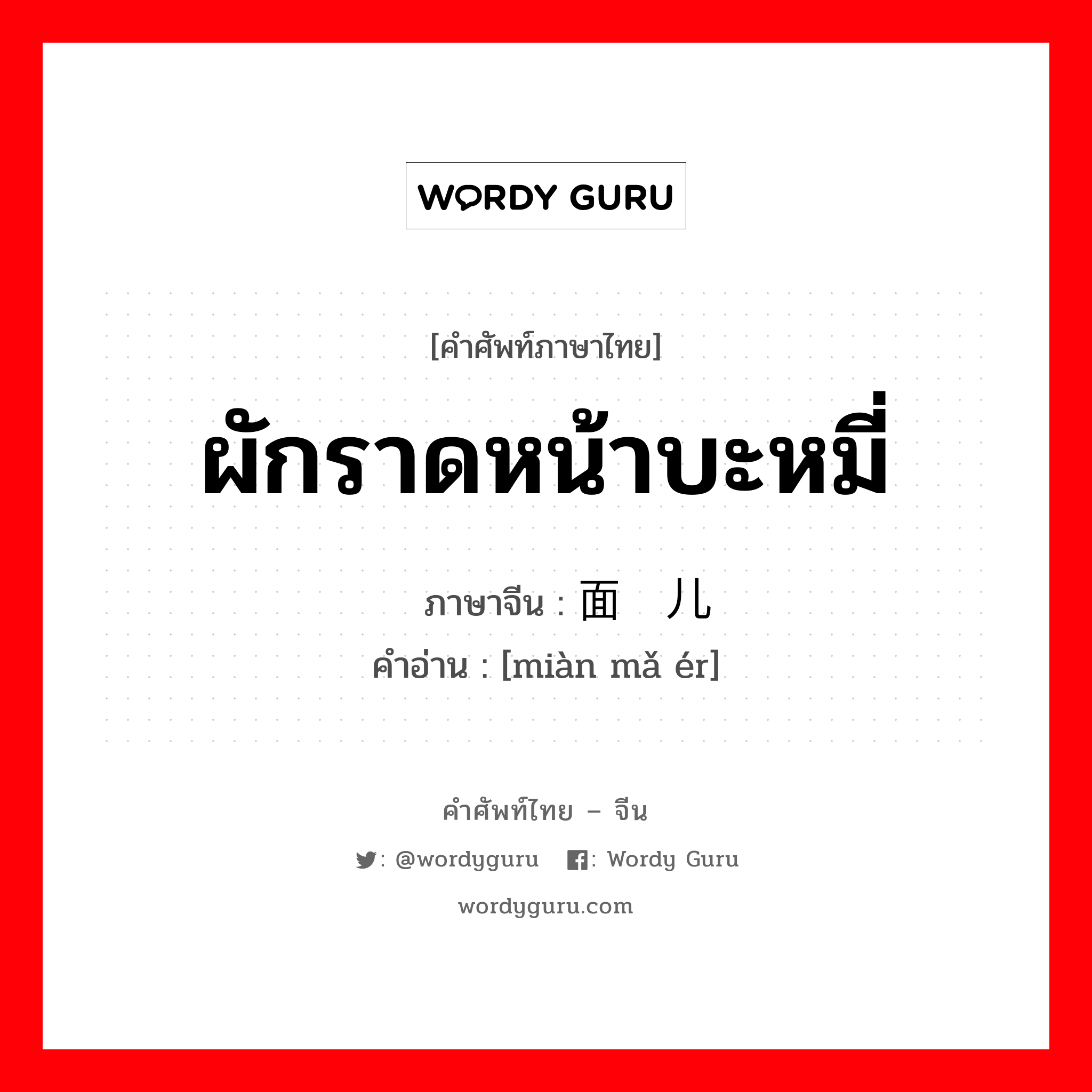 ผักราดหน้าบะหมี่ ภาษาจีนคืออะไร, คำศัพท์ภาษาไทย - จีน ผักราดหน้าบะหมี่ ภาษาจีน 面码儿 คำอ่าน [miàn mǎ ér]