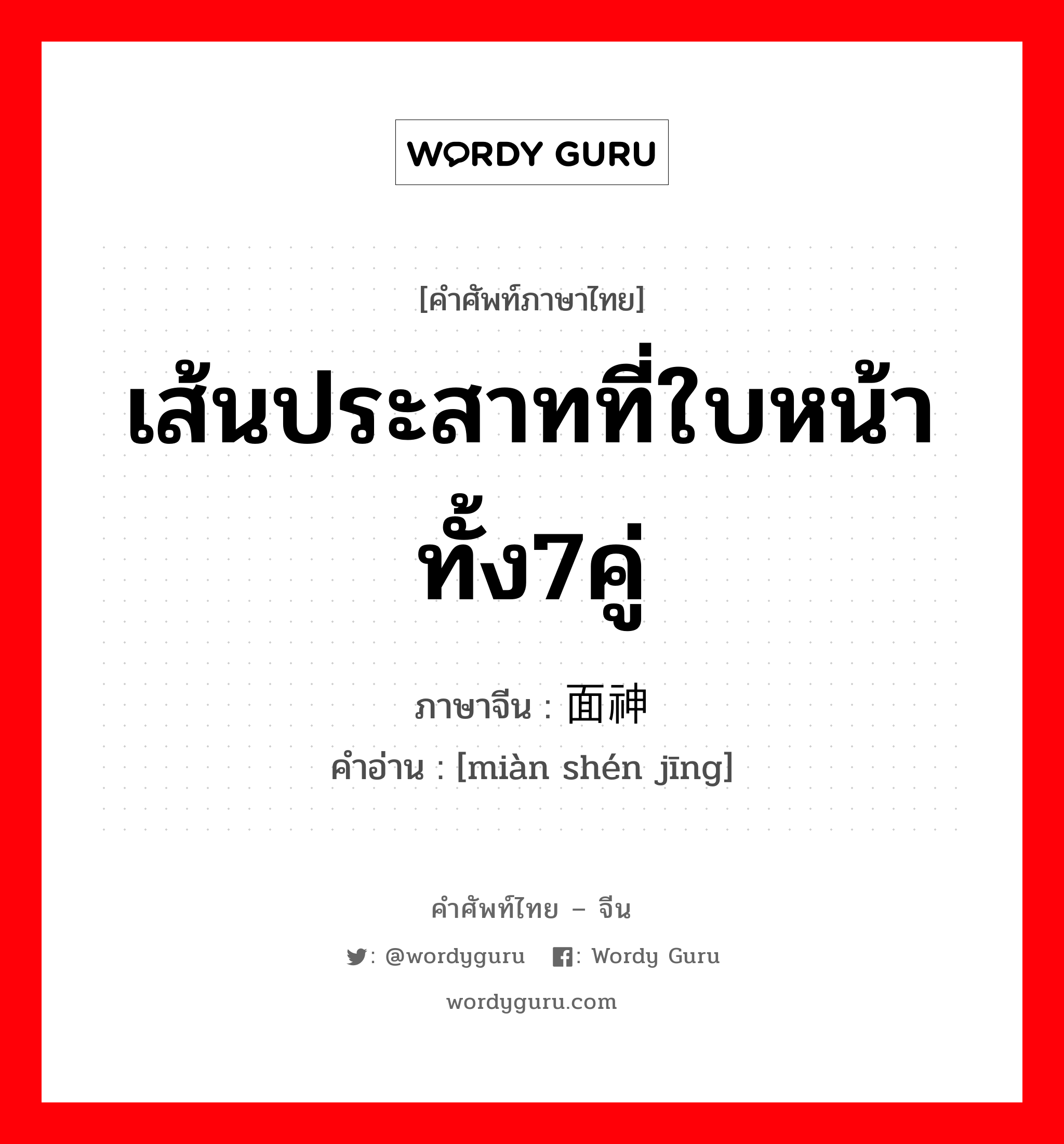 เส้นประสาทที่ใบหน้าทั้ง7คู่ ภาษาจีนคืออะไร, คำศัพท์ภาษาไทย - จีน เส้นประสาทที่ใบหน้าทั้ง7คู่ ภาษาจีน 面神经 คำอ่าน [miàn shén jīng]