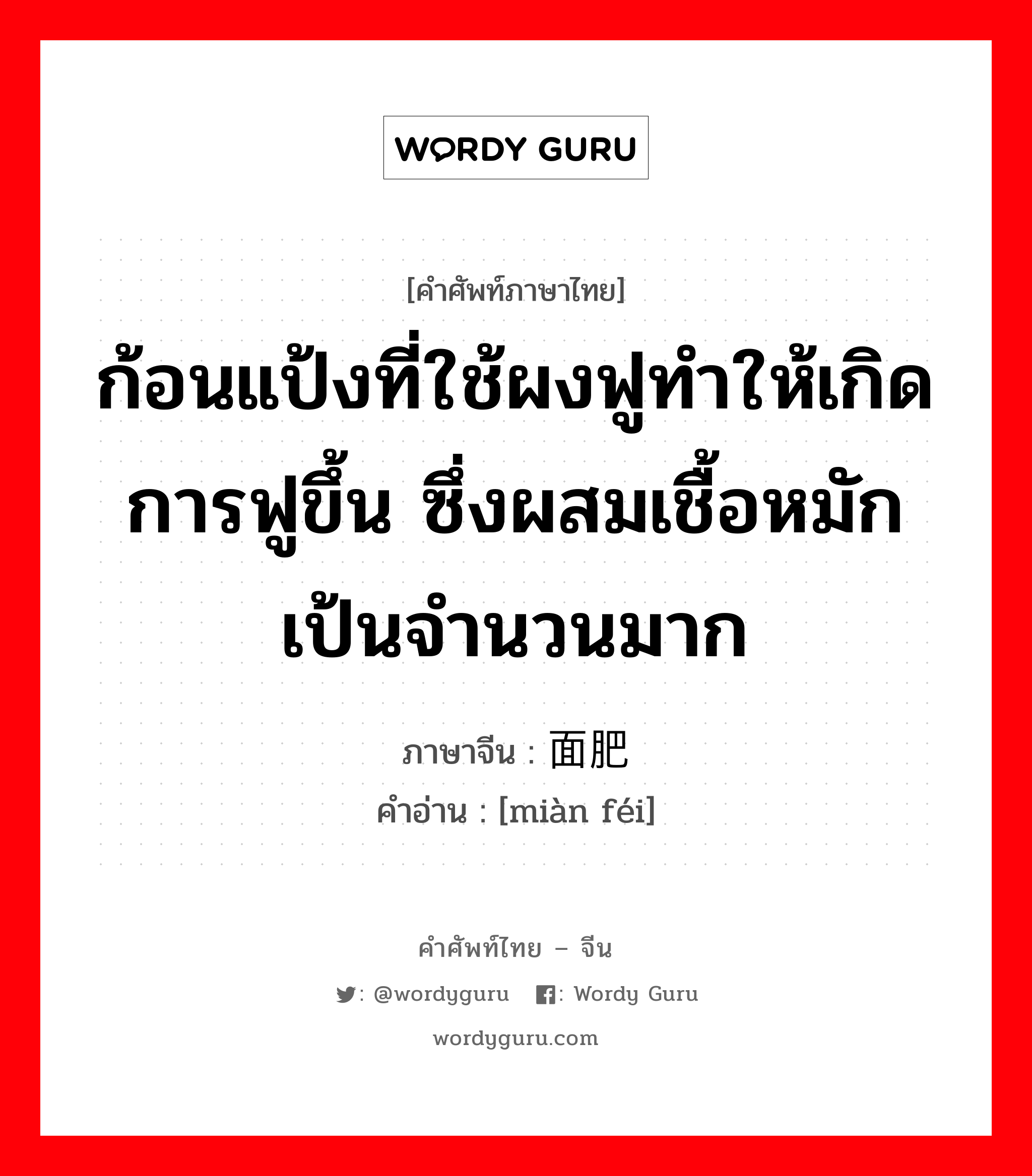 ก้อนแป้งที่ใช้ผงฟูทำให้เกิดการฟูขึ้น ซึ่งผสมเชื้อหมักเป้นจำนวนมาก ภาษาจีนคืออะไร, คำศัพท์ภาษาไทย - จีน ก้อนแป้งที่ใช้ผงฟูทำให้เกิดการฟูขึ้น ซึ่งผสมเชื้อหมักเป้นจำนวนมาก ภาษาจีน 面肥 คำอ่าน [miàn féi]