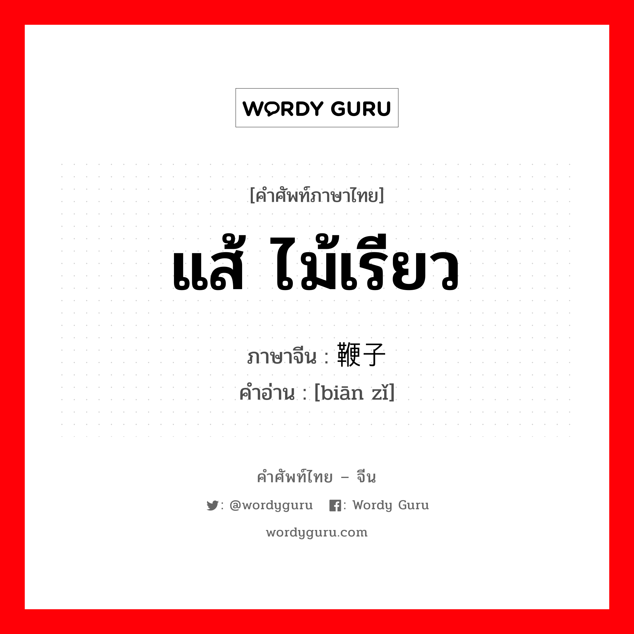 แส้ ไม้เรียว ภาษาจีนคืออะไร, คำศัพท์ภาษาไทย - จีน แส้ ไม้เรียว ภาษาจีน 鞭子 คำอ่าน [biān zǐ]