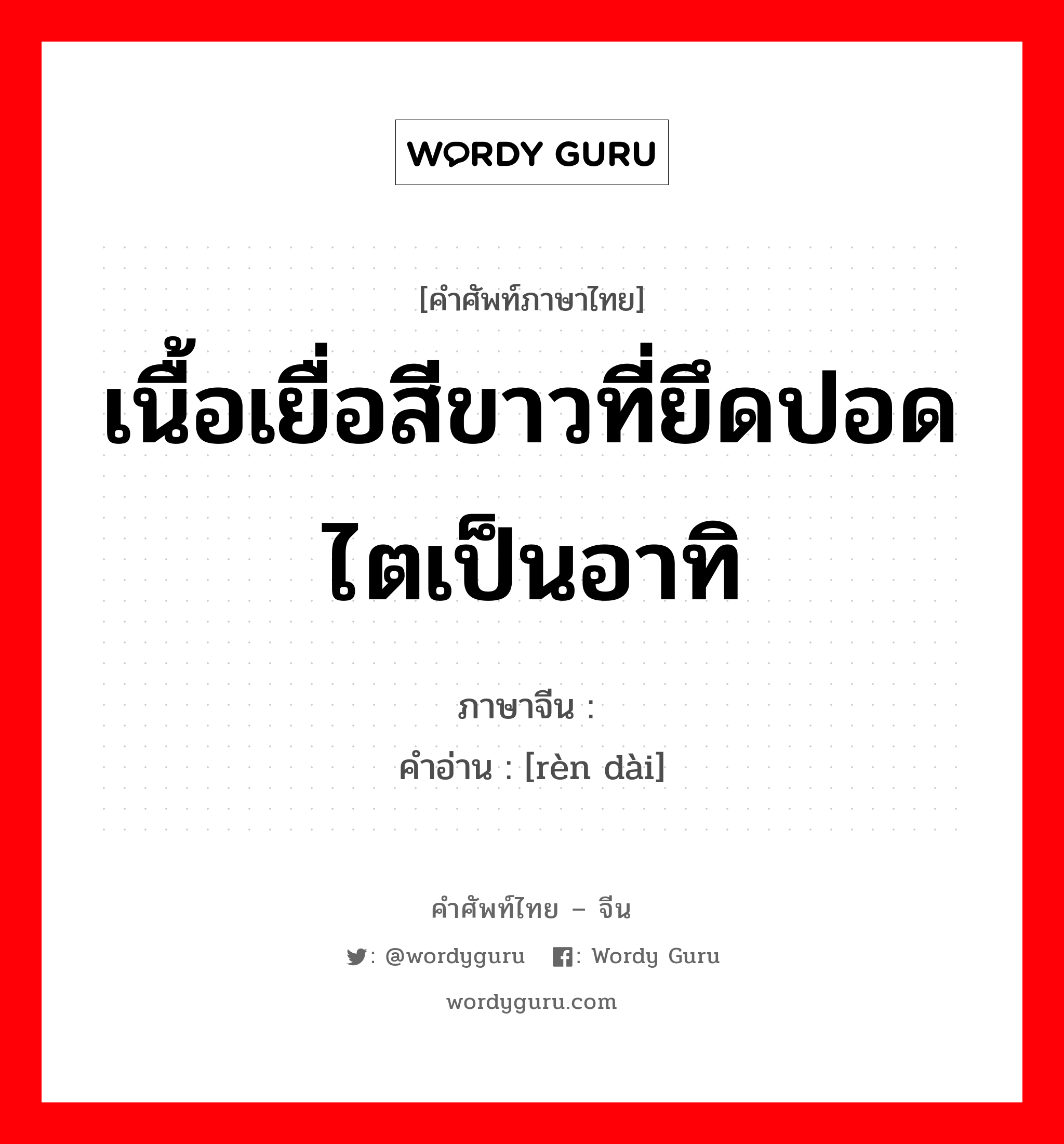 เนื้อเยื่อสีขาวที่ยึดปอดไตเป็นอาทิ ภาษาจีนคืออะไร, คำศัพท์ภาษาไทย - จีน เนื้อเยื่อสีขาวที่ยึดปอดไตเป็นอาทิ ภาษาจีน 韧带 คำอ่าน [rèn dài]