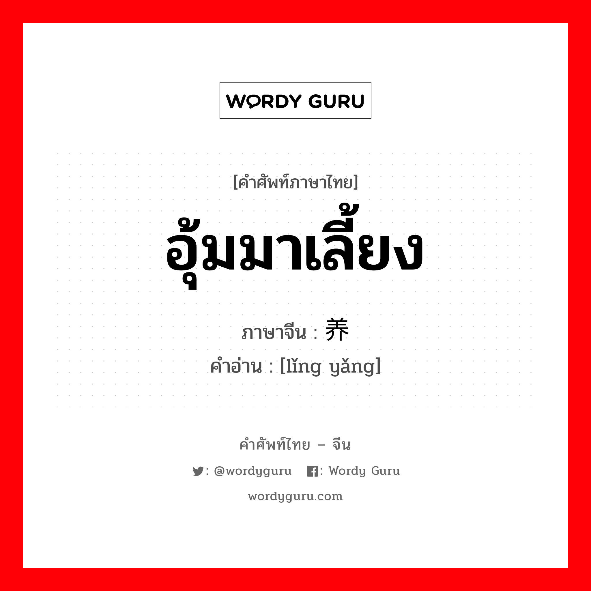 อุ้มมาเลี้ยง ภาษาจีนคืออะไร, คำศัพท์ภาษาไทย - จีน อุ้มมาเลี้ยง ภาษาจีน 领养 คำอ่าน [lǐng yǎng]