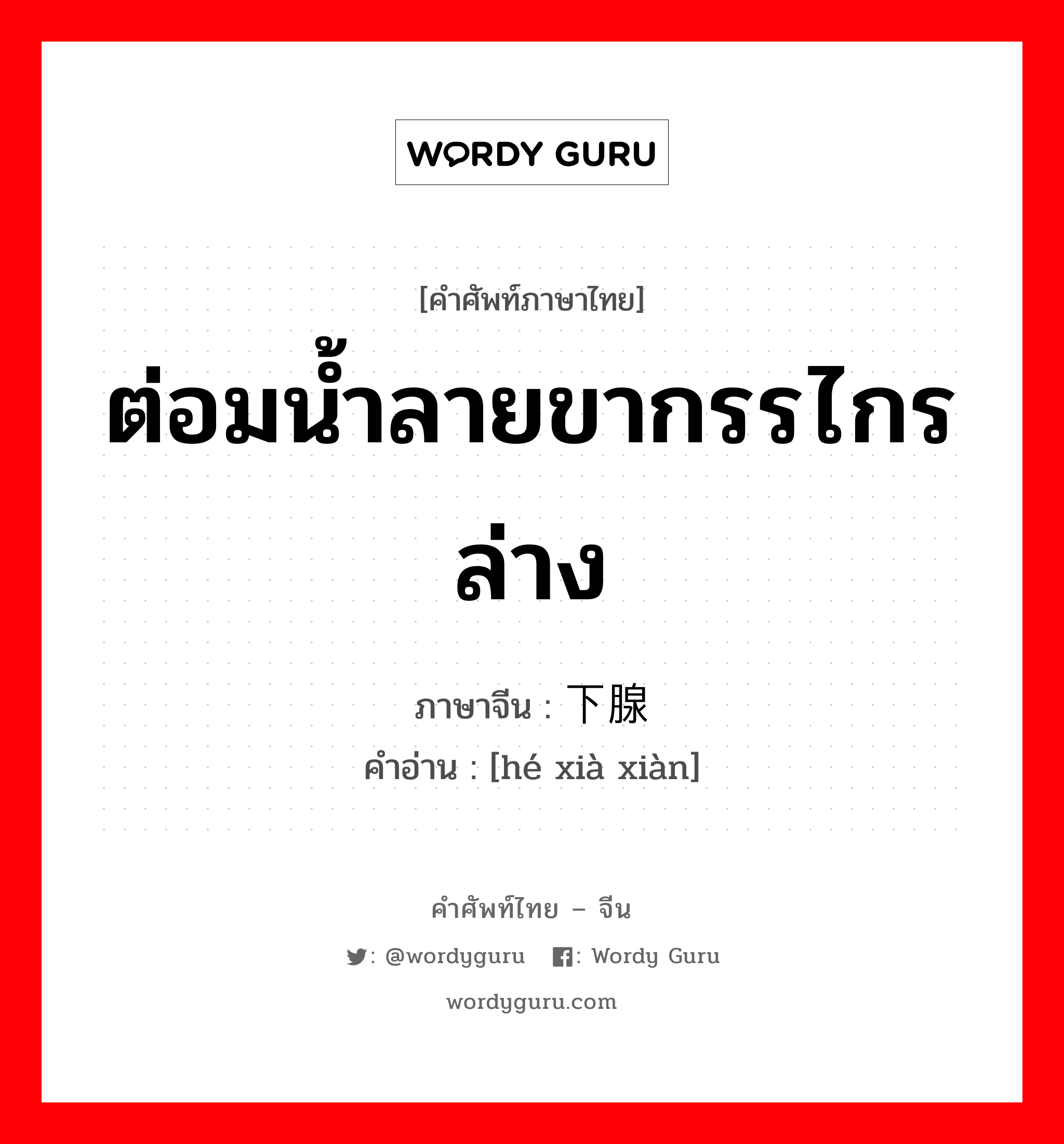 ต่อมน้ำลายขากรรไกรล่าง ภาษาจีนคืออะไร, คำศัพท์ภาษาไทย - จีน ต่อมน้ำลายขากรรไกรล่าง ภาษาจีน 颌下腺 คำอ่าน [hé xià xiàn]