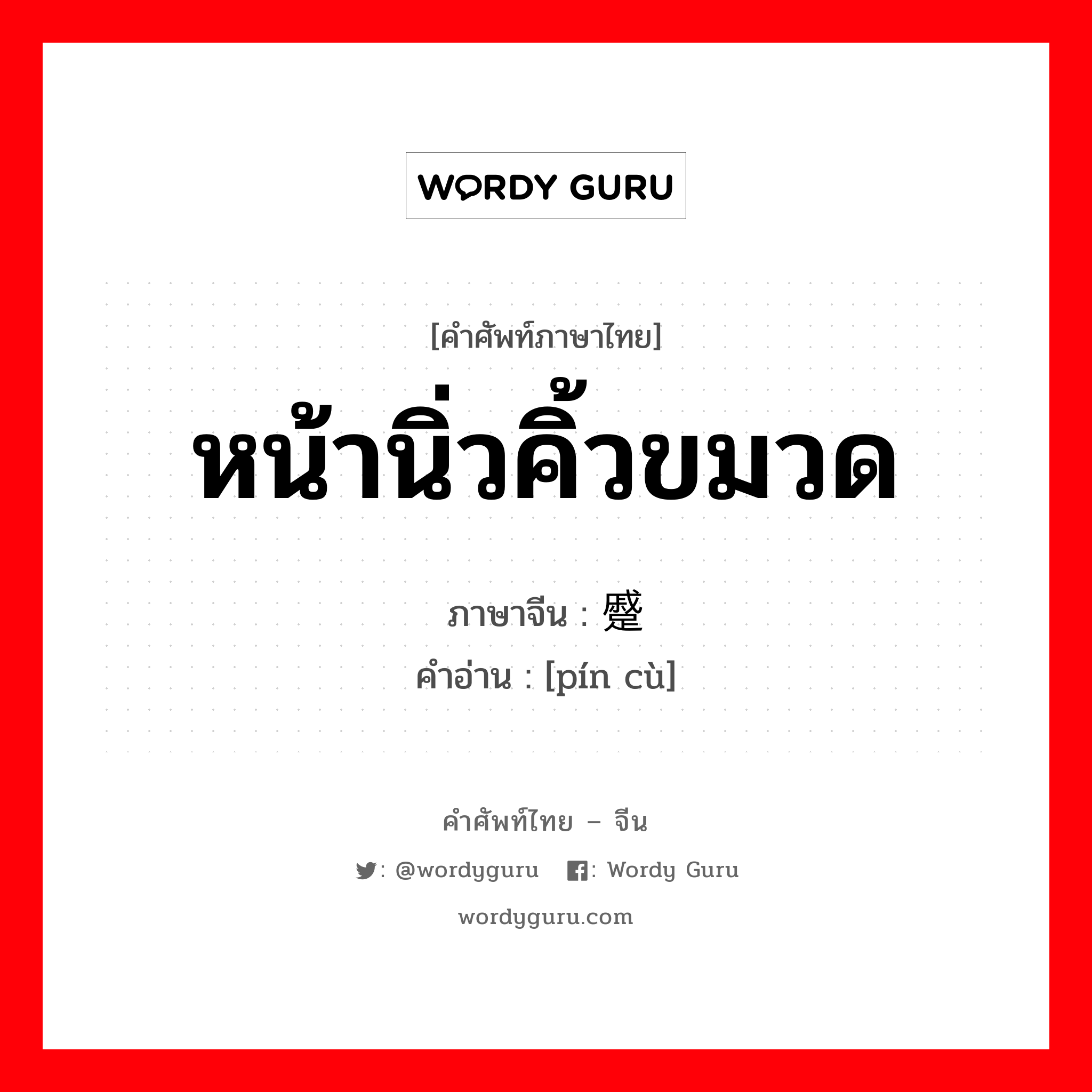 หน้านิ่วคิ้วขมวด ภาษาจีนคืออะไร, คำศัพท์ภาษาไทย - จีน หน้านิ่วคิ้วขมวด ภาษาจีน 颦蹙 คำอ่าน [pín cù]