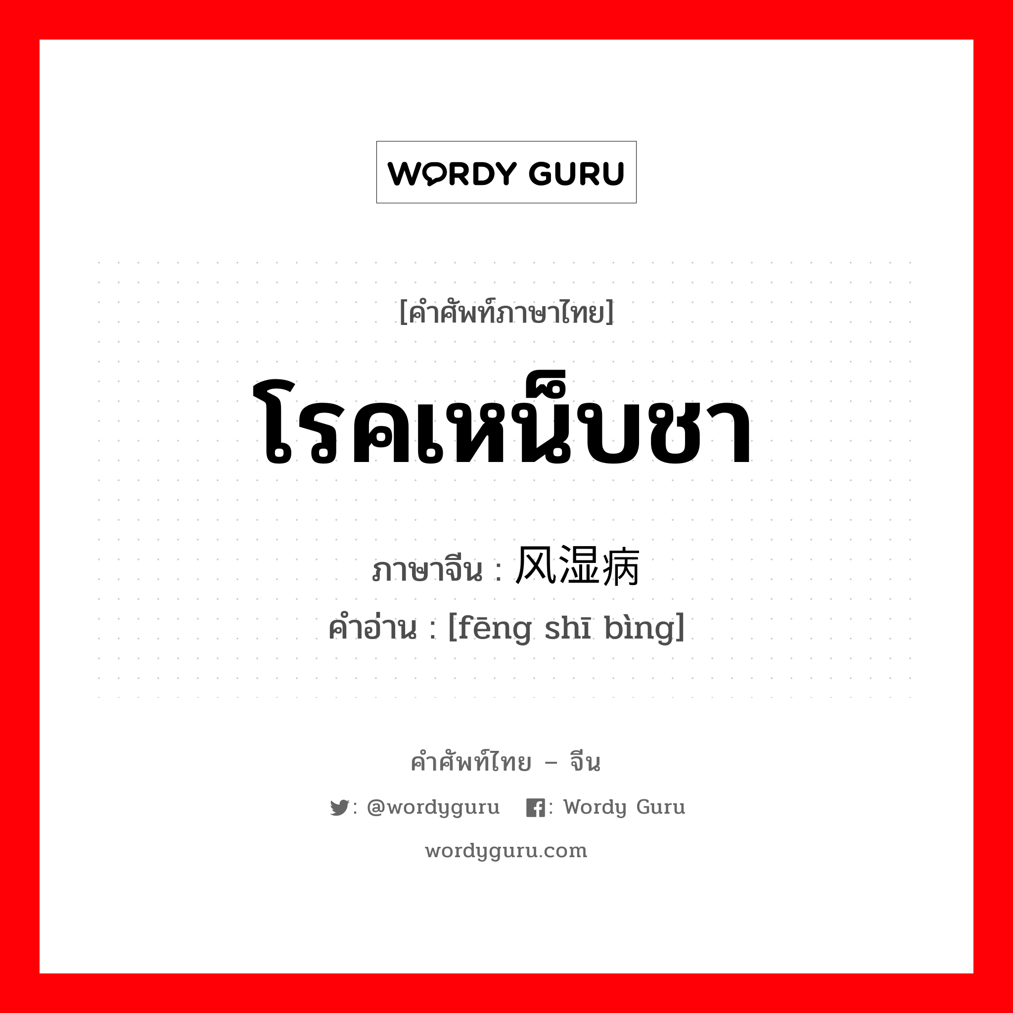 โรคเหน็บชา ภาษาจีนคืออะไร, คำศัพท์ภาษาไทย - จีน โรคเหน็บชา ภาษาจีน 风湿病 คำอ่าน [fēng shī bìng]