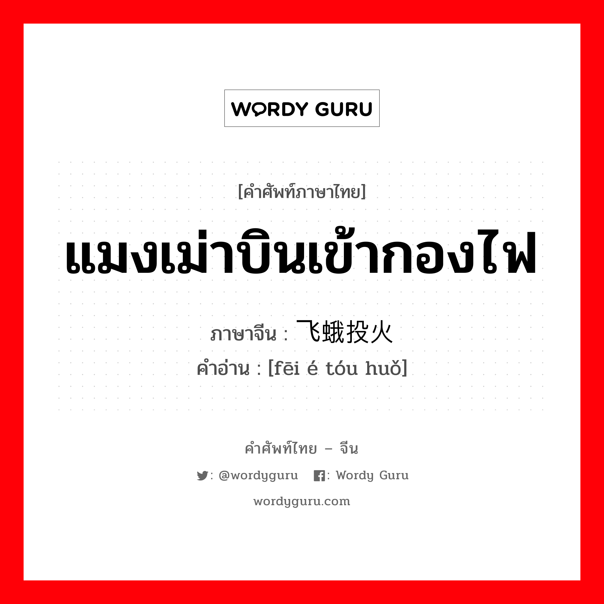 แมงเม่าบินเข้ากองไฟ ภาษาจีนคืออะไร, คำศัพท์ภาษาไทย - จีน แมงเม่าบินเข้ากองไฟ ภาษาจีน 飞蛾投火 คำอ่าน [fēi é tóu huǒ]