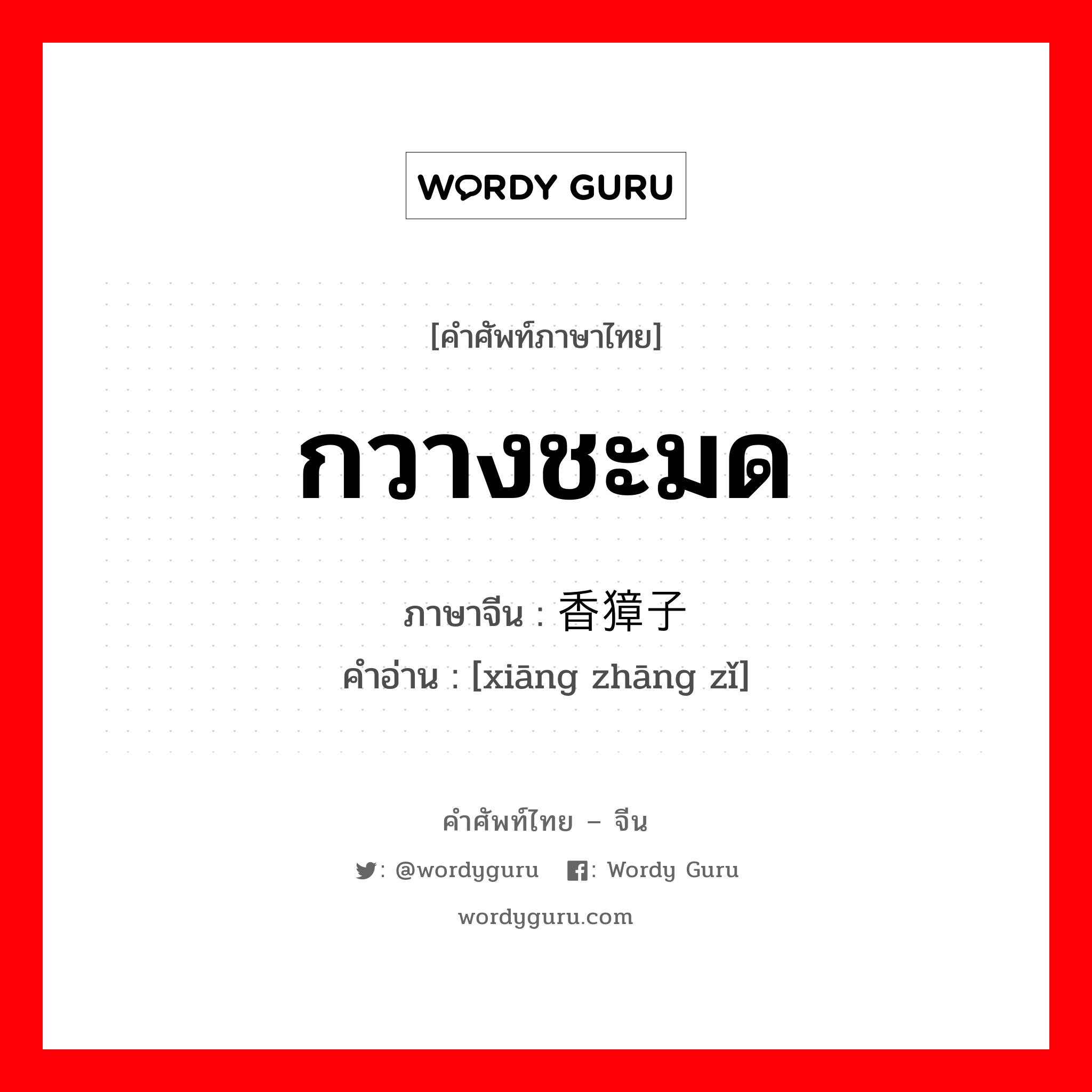 กวางชะมด ภาษาจีนคืออะไร, คำศัพท์ภาษาไทย - จีน กวางชะมด ภาษาจีน 香獐子 คำอ่าน [xiāng zhāng zǐ]