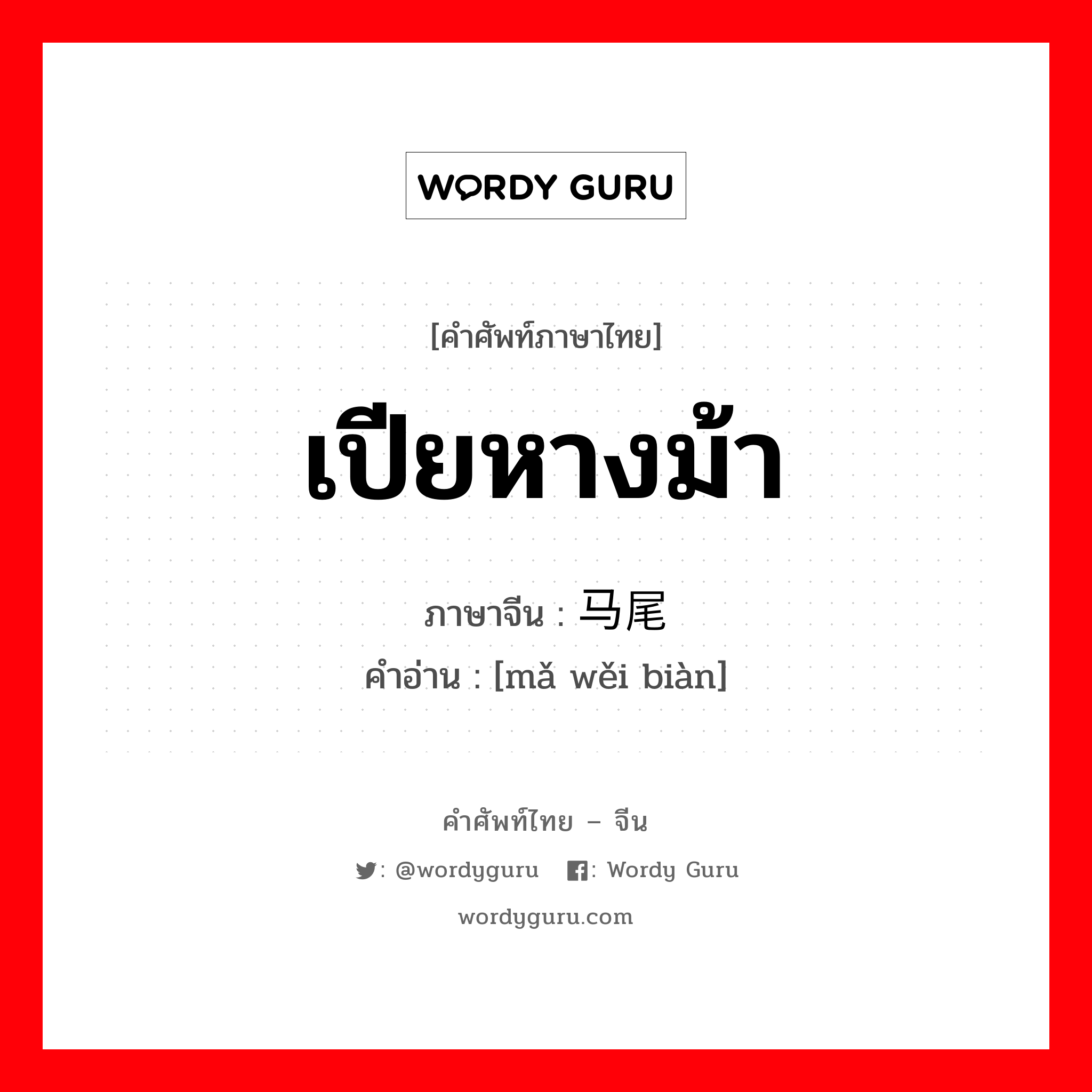 เปียหางม้า ภาษาจีนคืออะไร, คำศัพท์ภาษาไทย - จีน เปียหางม้า ภาษาจีน 马尾辫 คำอ่าน [mǎ wěi biàn]