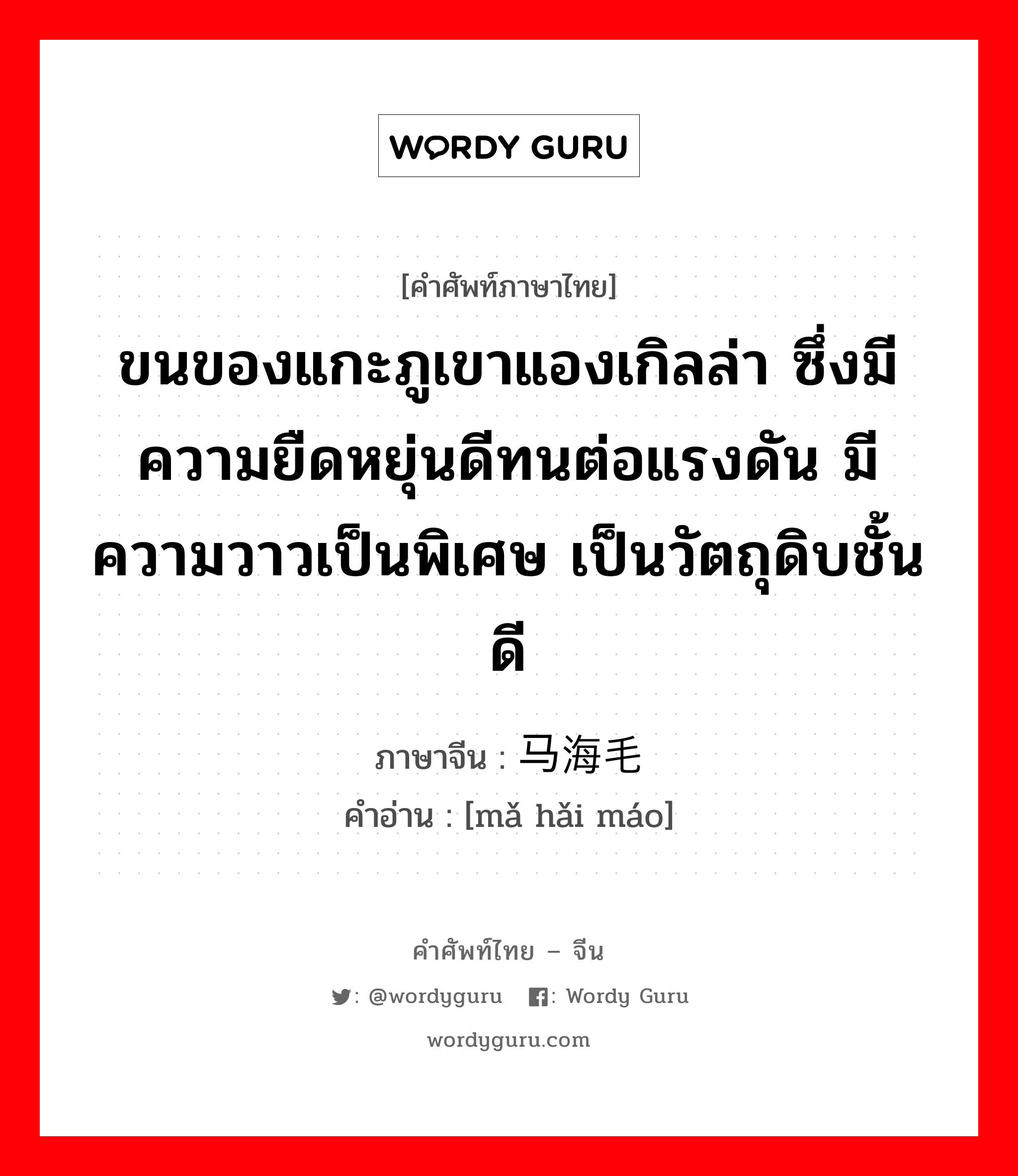 ขนของแกะภูเขาแองเกิลล่า ซึ่งมีความยืดหยุ่นดีทนต่อแรงดัน มีความวาวเป็นพิเศษ เป็นวัตถุดิบชั้นดี ภาษาจีนคืออะไร, คำศัพท์ภาษาไทย - จีน ขนของแกะภูเขาแองเกิลล่า ซึ่งมีความยืดหยุ่นดีทนต่อแรงดัน มีความวาวเป็นพิเศษ เป็นวัตถุดิบชั้นดี ภาษาจีน 马海毛 คำอ่าน [mǎ hǎi máo]