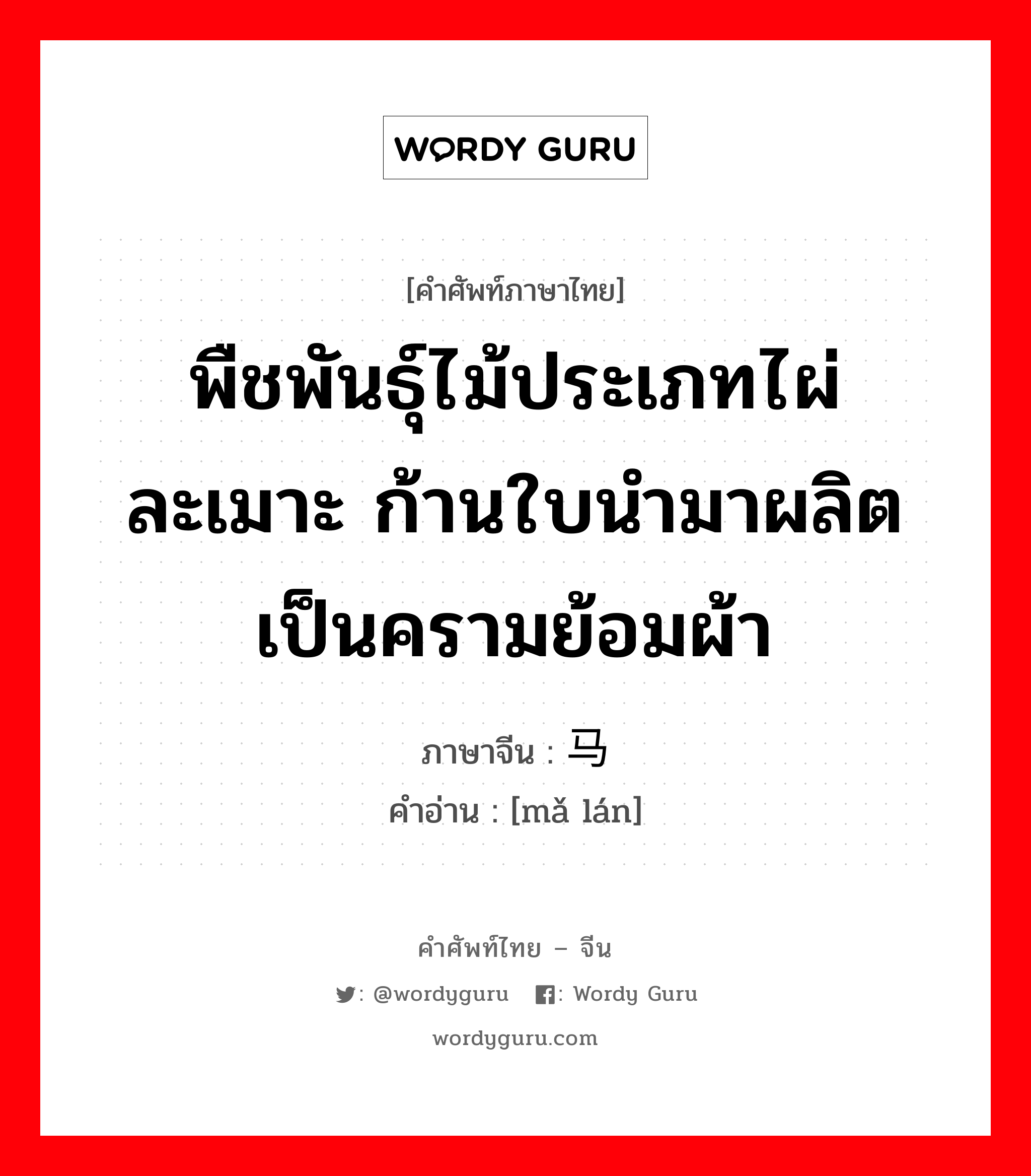 พืชพันธุ์ไม้ประเภทไผ่ละเมาะ ก้านใบนำมาผลิตเป็นครามย้อมผ้า ภาษาจีนคืออะไร, คำศัพท์ภาษาไทย - จีน พืชพันธุ์ไม้ประเภทไผ่ละเมาะ ก้านใบนำมาผลิตเป็นครามย้อมผ้า ภาษาจีน 马蓝 คำอ่าน [mǎ lán]