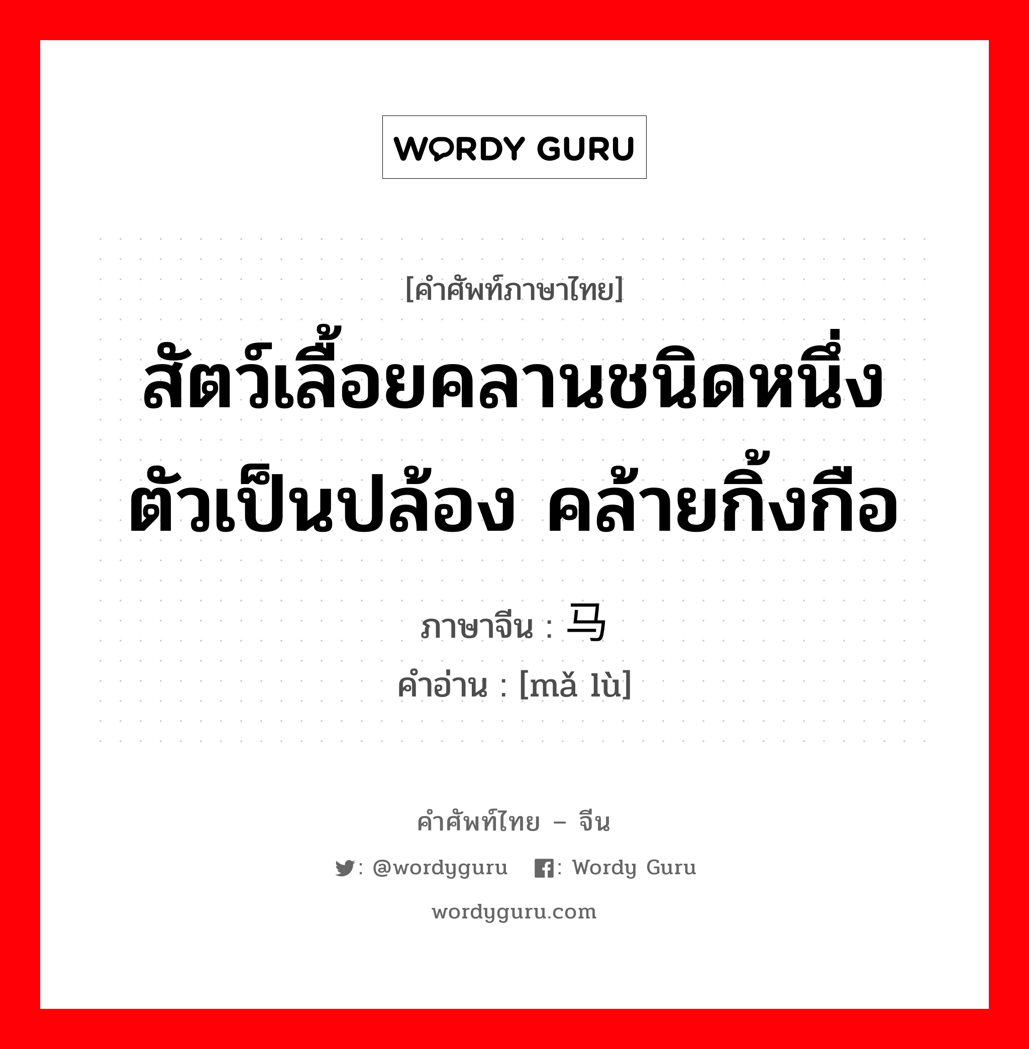 สัตว์เลื้อยคลานชนิดหนึ่ง ตัวเป็นปล้อง คล้ายกิ้งกือ ภาษาจีนคืออะไร, คำศัพท์ภาษาไทย - จีน สัตว์เลื้อยคลานชนิดหนึ่ง ตัวเป็นปล้อง คล้ายกิ้งกือ ภาษาจีน 马陆 คำอ่าน [mǎ lù]