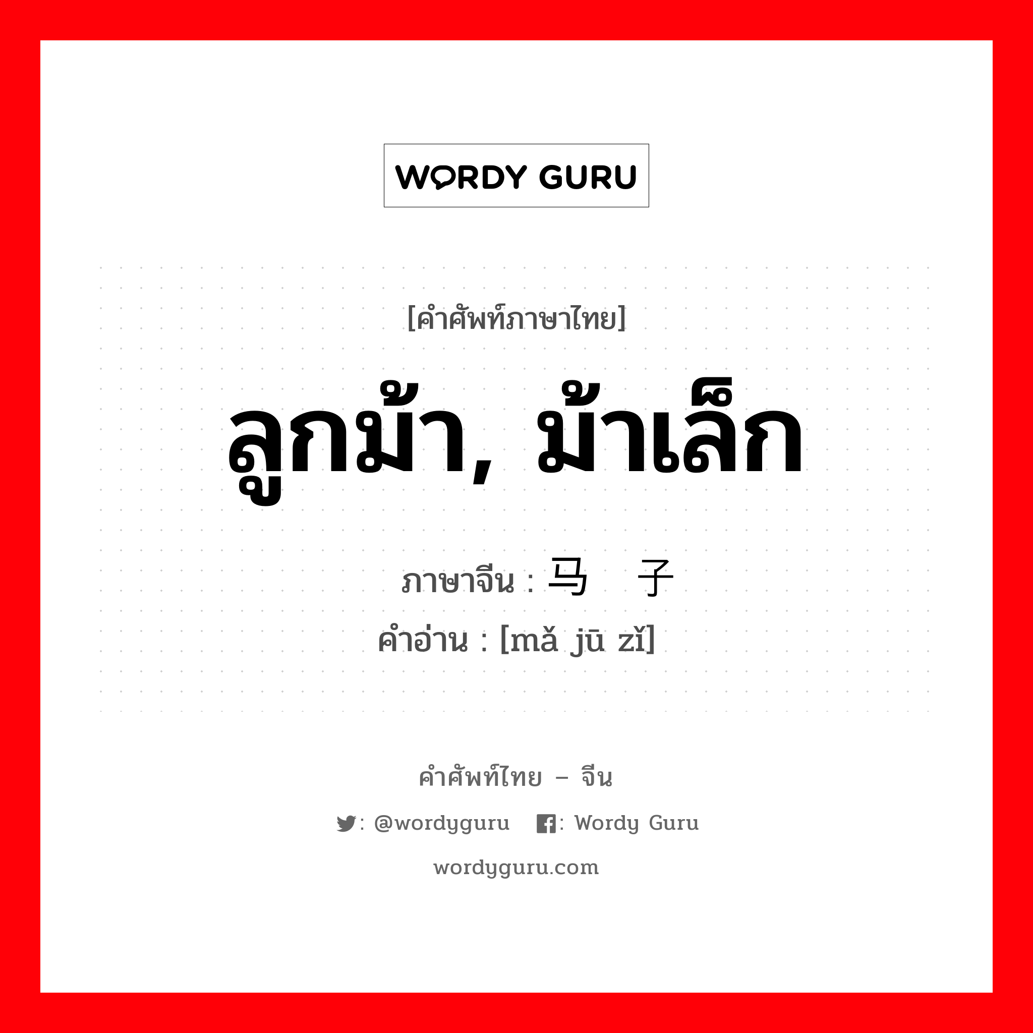 ลูกม้า, ม้าเล็ก ภาษาจีนคืออะไร, คำศัพท์ภาษาไทย - จีน ลูกม้า, ม้าเล็ก ภาษาจีน 马驹子 คำอ่าน [mǎ jū zǐ]