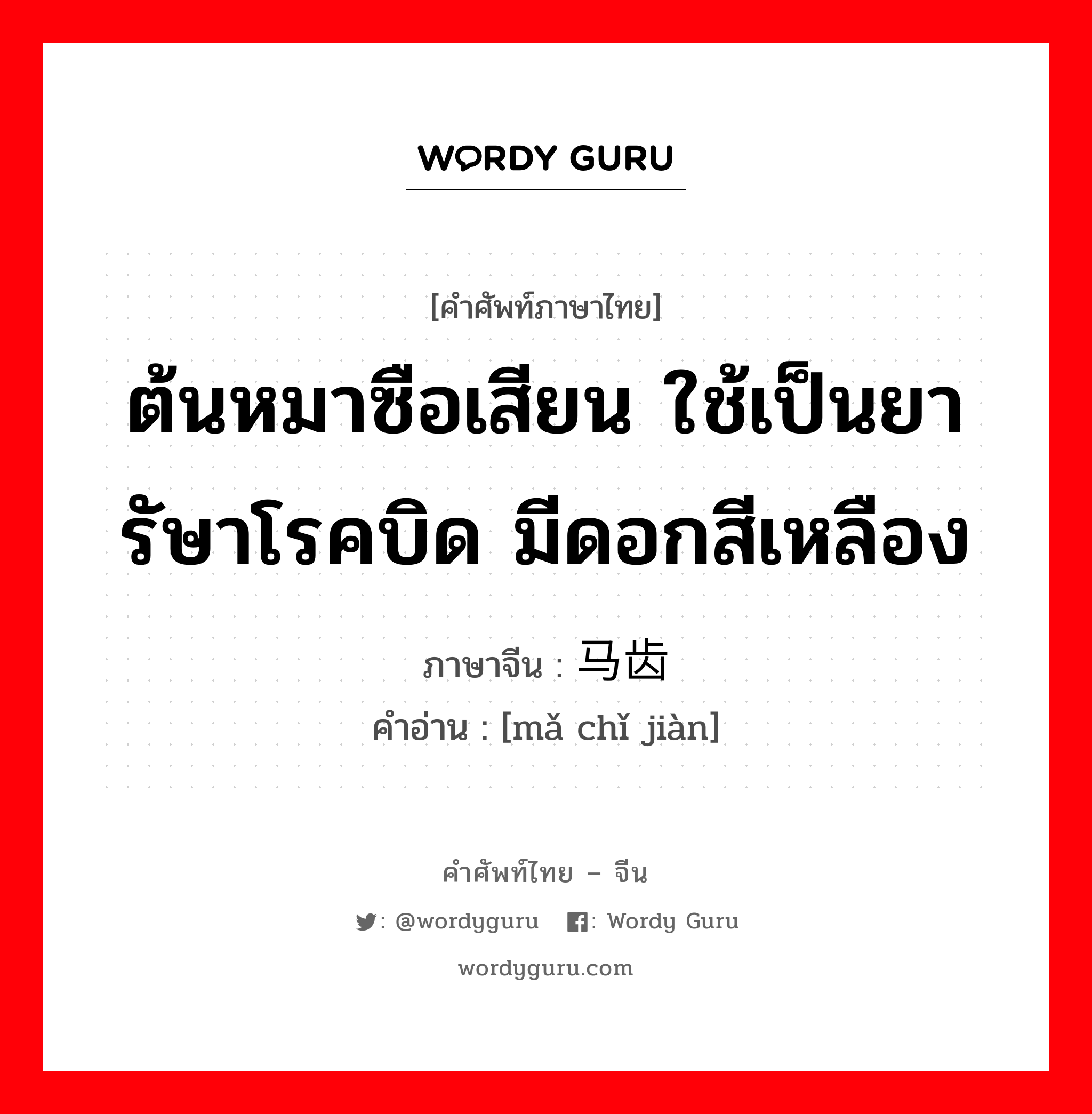 ต้นหมาซือเสียน ใช้เป็นยารัษาโรคบิด มีดอกสีเหลือง ภาษาจีนคืออะไร, คำศัพท์ภาษาไทย - จีน ต้นหมาซือเสียน ใช้เป็นยารัษาโรคบิด มีดอกสีเหลือง ภาษาจีน 马齿苋 คำอ่าน [mǎ chǐ jiàn]