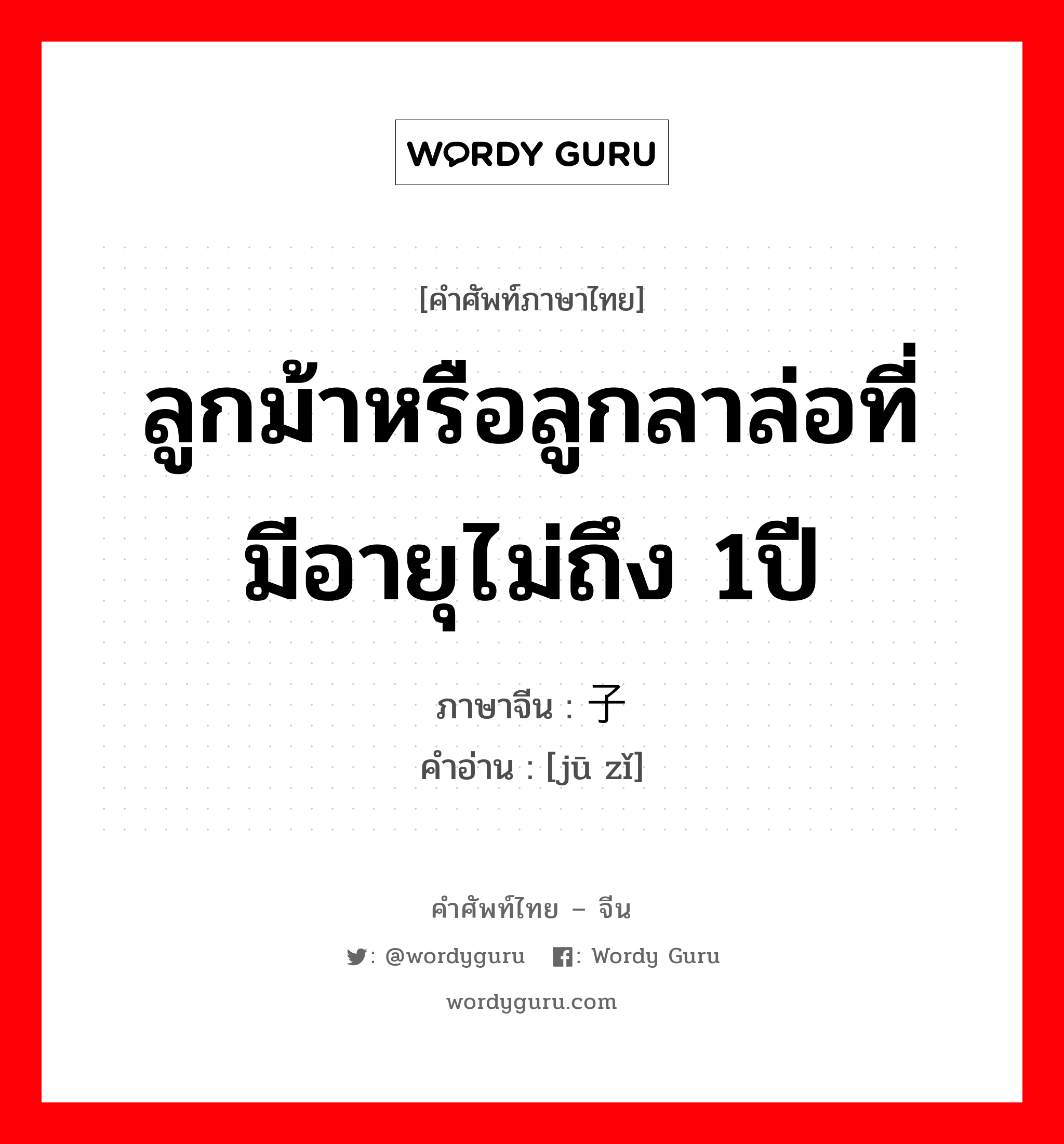 ลูกม้าหรือลูกลาล่อที่มีอายุไม่ถึง 1ปี ภาษาจีนคืออะไร, คำศัพท์ภาษาไทย - จีน ลูกม้าหรือลูกลาล่อที่มีอายุไม่ถึง 1ปี ภาษาจีน 驹子 คำอ่าน [jū zǐ]