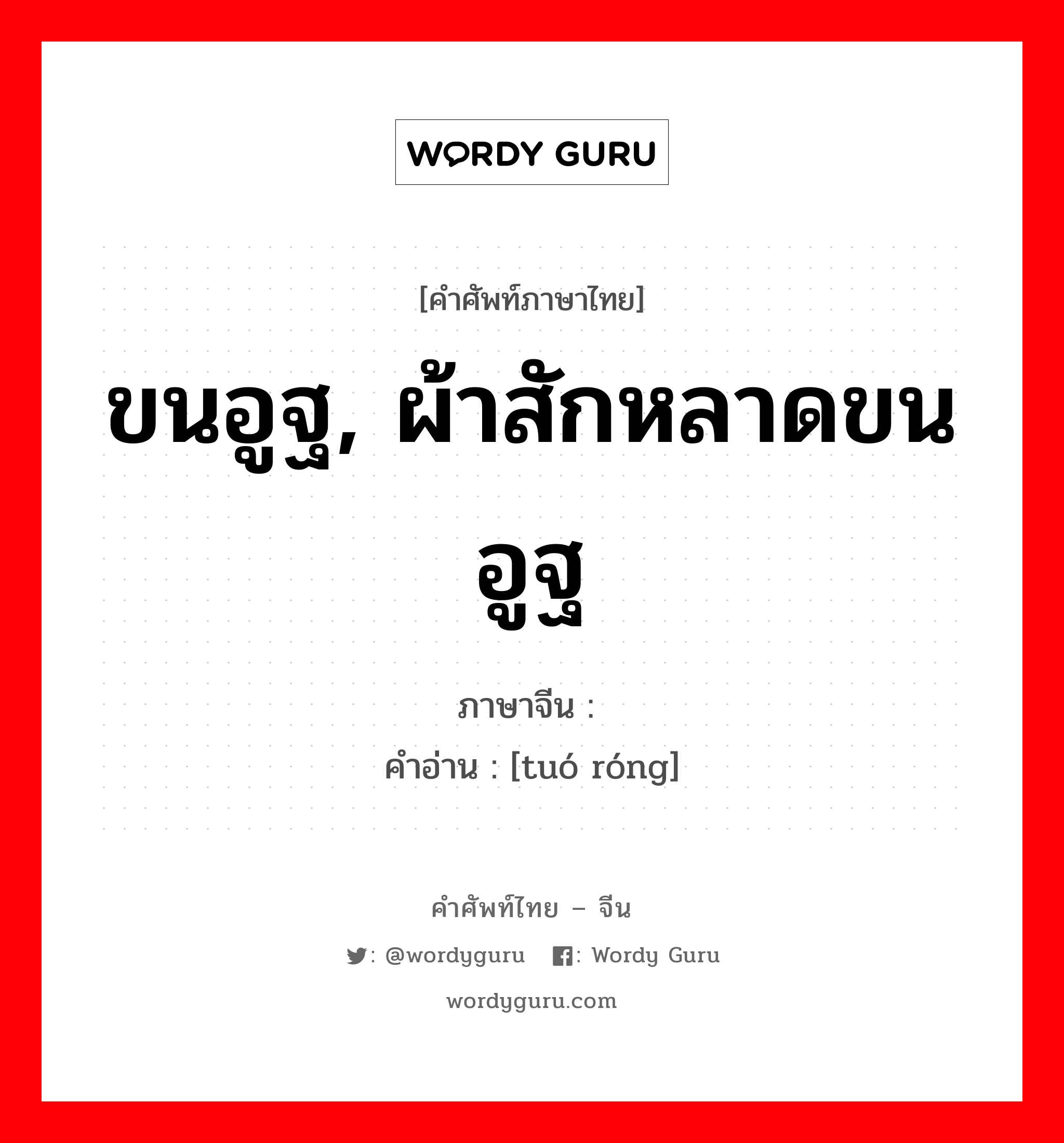 ขนอูฐ, ผ้าสักหลาดขนอูฐ ภาษาจีนคืออะไร, คำศัพท์ภาษาไทย - จีน ขนอูฐ, ผ้าสักหลาดขนอูฐ ภาษาจีน 驼绒 คำอ่าน [tuó róng]