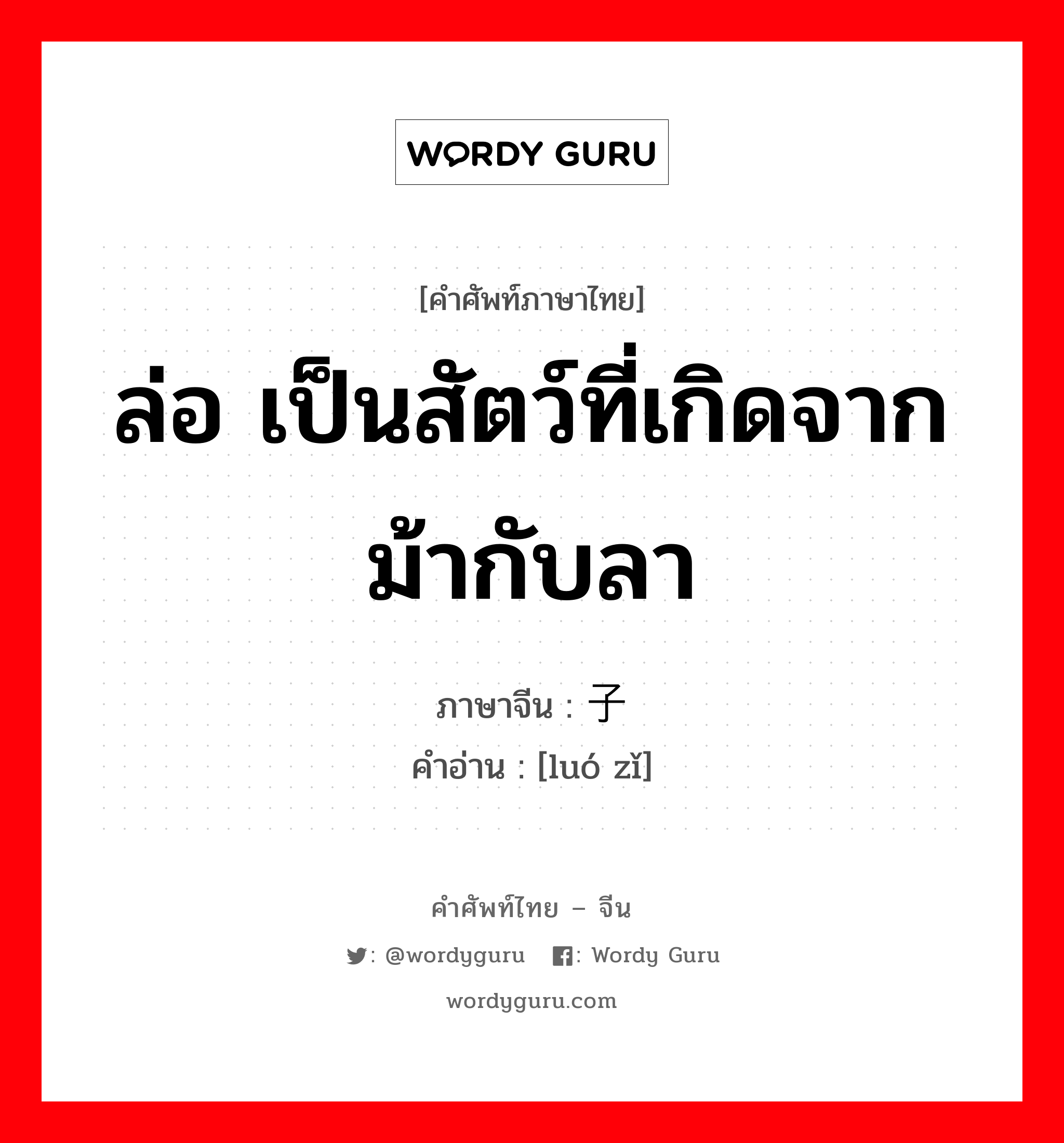 ล่อ เป็นสัตว์ที่เกิดจากม้ากับลา ภาษาจีนคืออะไร, คำศัพท์ภาษาไทย - จีน ล่อ เป็นสัตว์ที่เกิดจากม้ากับลา ภาษาจีน 骡子 คำอ่าน [luó zǐ]