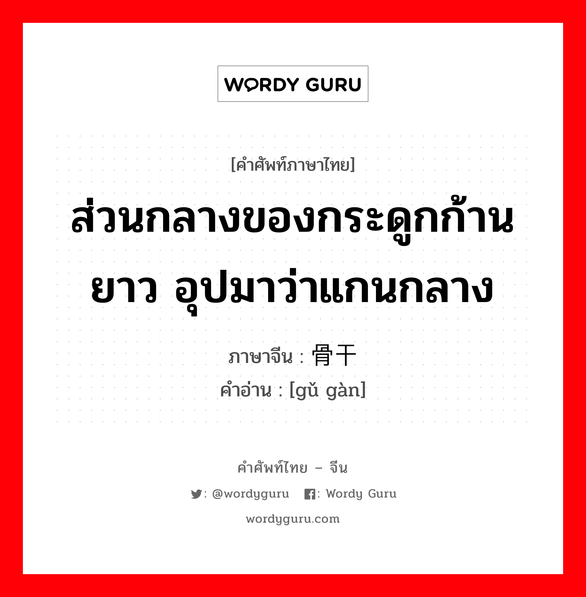 ส่วนกลางของกระดูกก้านยาว อุปมาว่าแกนกลาง ภาษาจีนคืออะไร, คำศัพท์ภาษาไทย - จีน ส่วนกลางของกระดูกก้านยาว อุปมาว่าแกนกลาง ภาษาจีน 骨干 คำอ่าน [gǔ gàn]