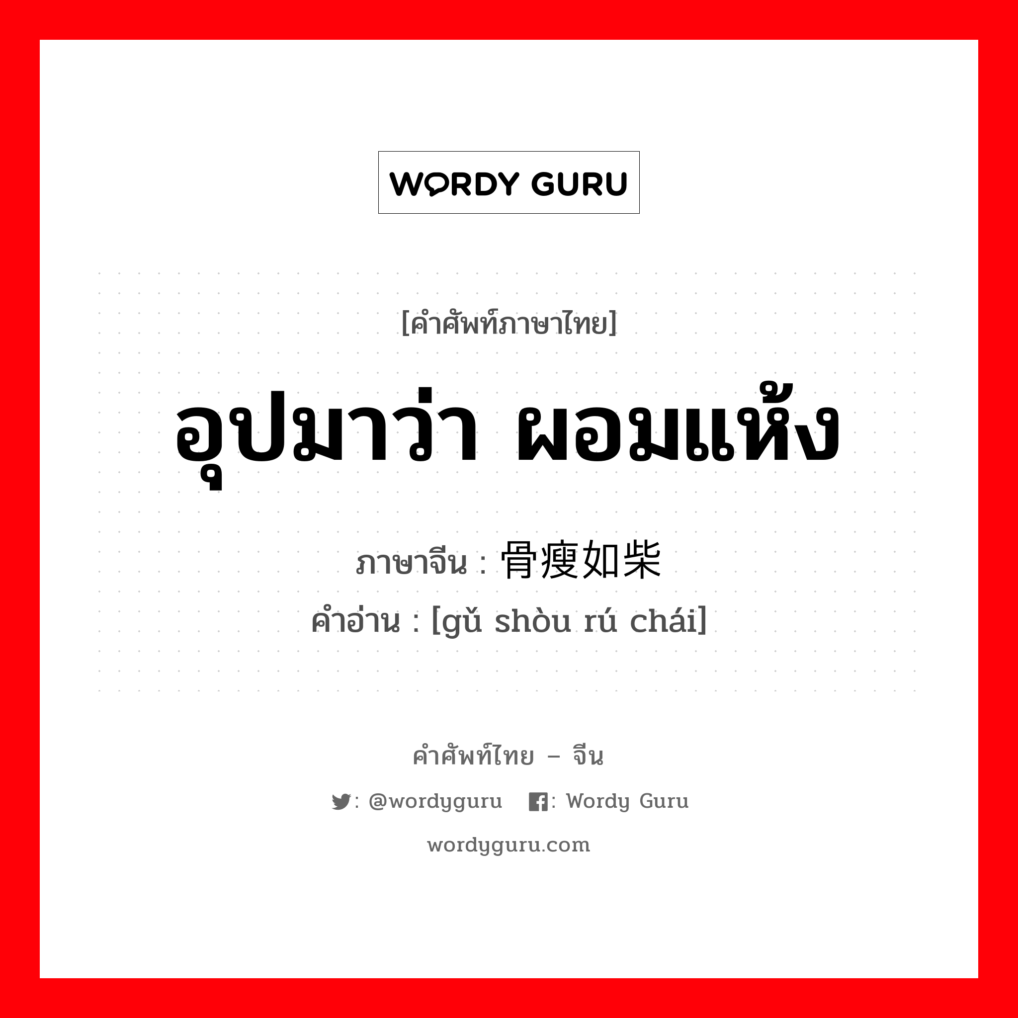 อุปมาว่า ผอมแห้ง ภาษาจีนคืออะไร, คำศัพท์ภาษาไทย - จีน อุปมาว่า ผอมแห้ง ภาษาจีน 骨瘦如柴 คำอ่าน [gǔ shòu rú chái]