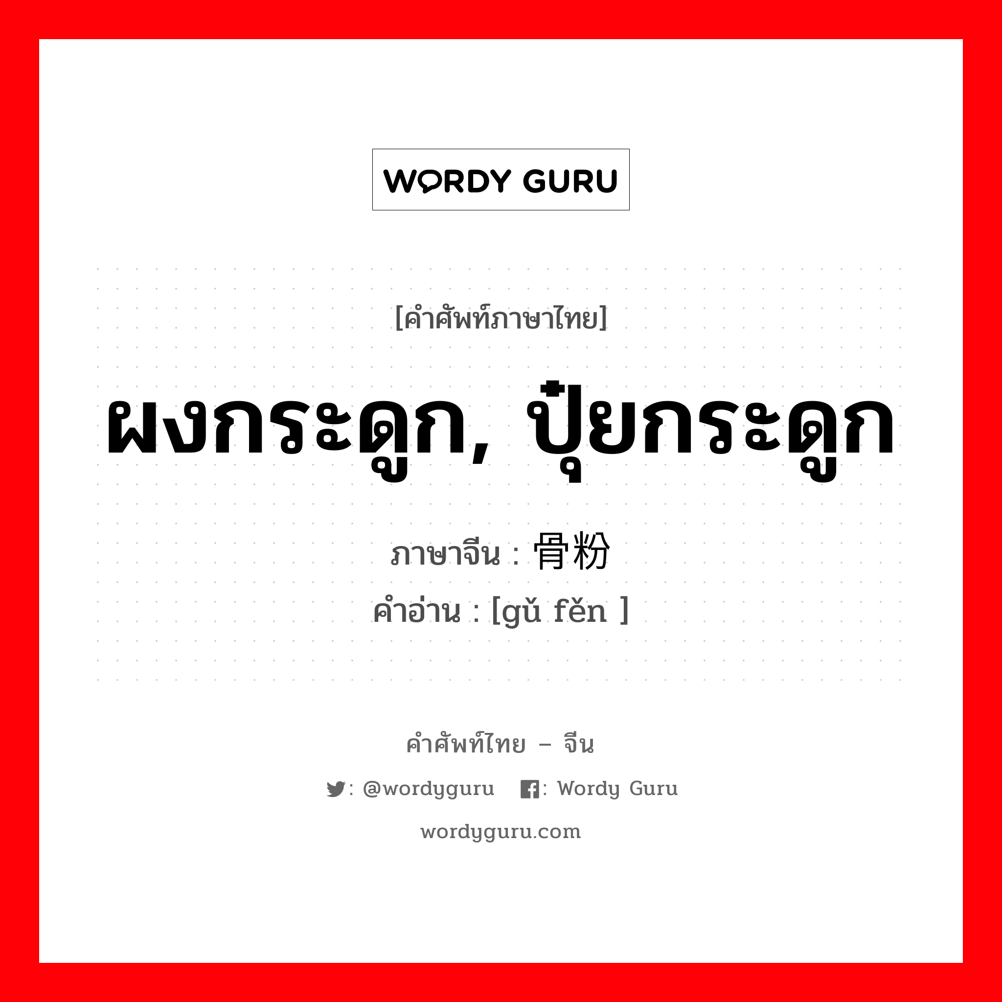 ผงกระดูก, ปุ๋ยกระดูก ภาษาจีนคืออะไร, คำศัพท์ภาษาไทย - จีน ผงกระดูก, ปุ๋ยกระดูก ภาษาจีน 骨粉 คำอ่าน [gǔ fěn ]