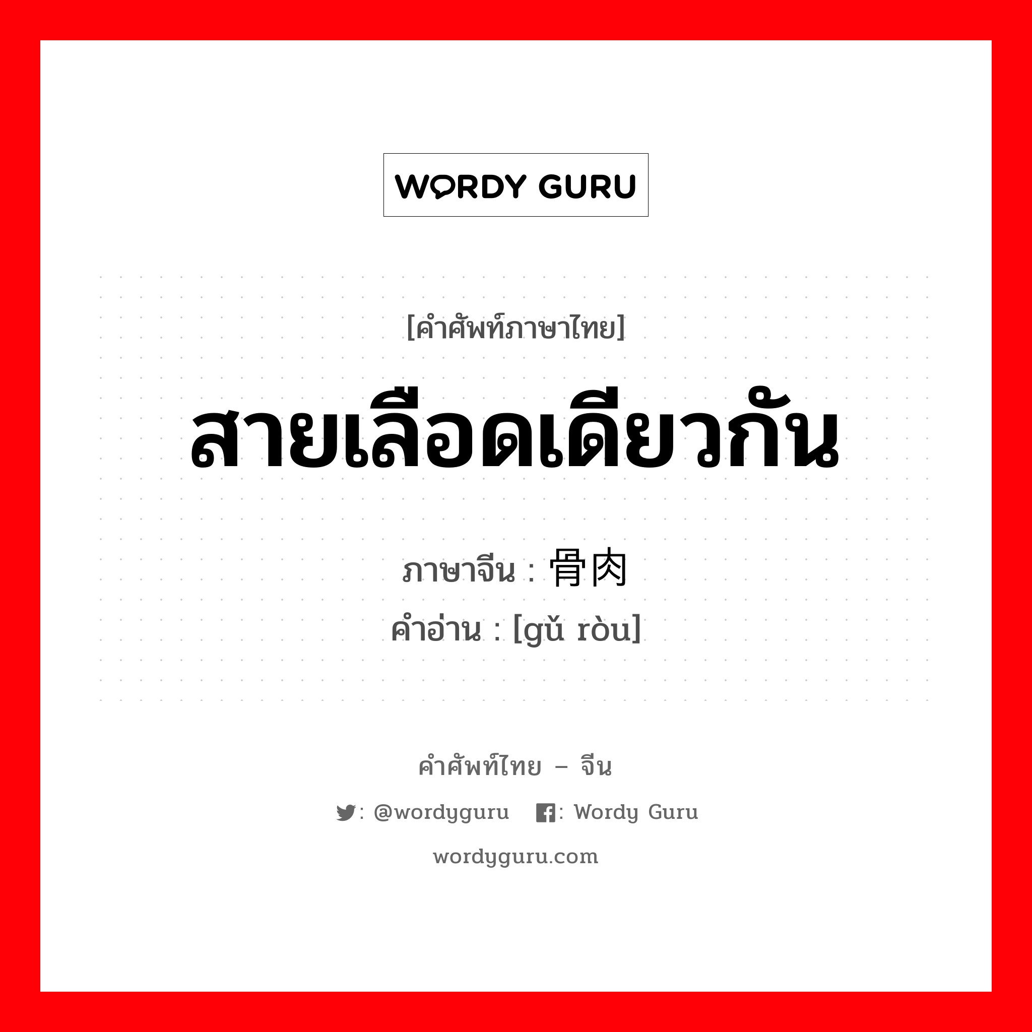 สายเลือดเดียวกัน ภาษาจีนคืออะไร, คำศัพท์ภาษาไทย - จีน สายเลือดเดียวกัน ภาษาจีน 骨肉 คำอ่าน [gǔ ròu]