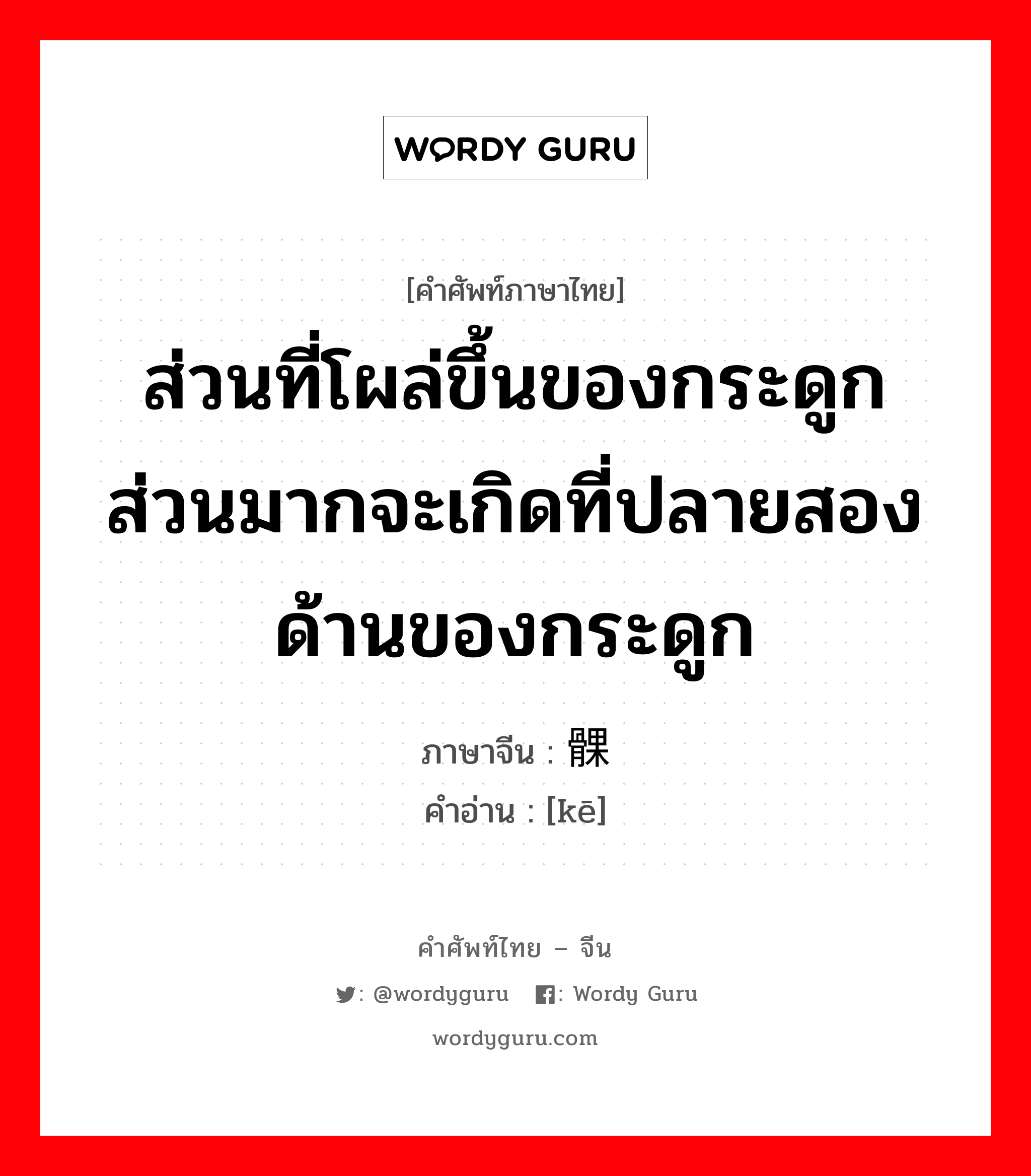 ส่วนที่โผล่ขึ้นของกระดูก ส่วนมากจะเกิดที่ปลายสองด้านของกระดูก ภาษาจีนคืออะไร, คำศัพท์ภาษาไทย - จีน ส่วนที่โผล่ขึ้นของกระดูก ส่วนมากจะเกิดที่ปลายสองด้านของกระดูก ภาษาจีน 髁 คำอ่าน [kē]