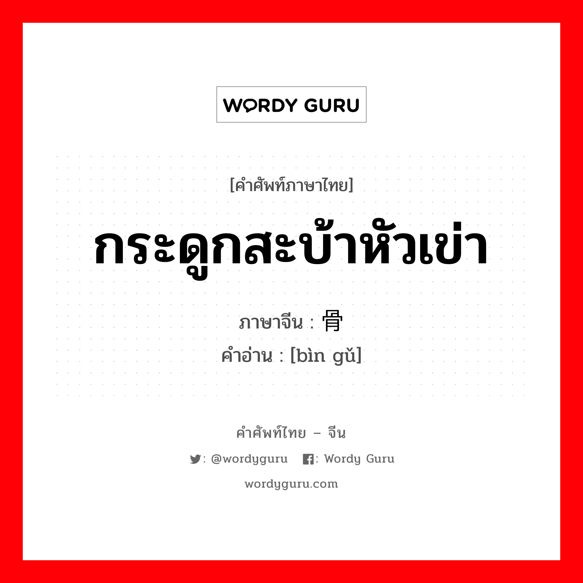 กระดูกสะบ้าหัวเข่า ภาษาจีนคืออะไร, คำศัพท์ภาษาไทย - จีน กระดูกสะบ้าหัวเข่า ภาษาจีน 髌骨 คำอ่าน [bìn gǔ]