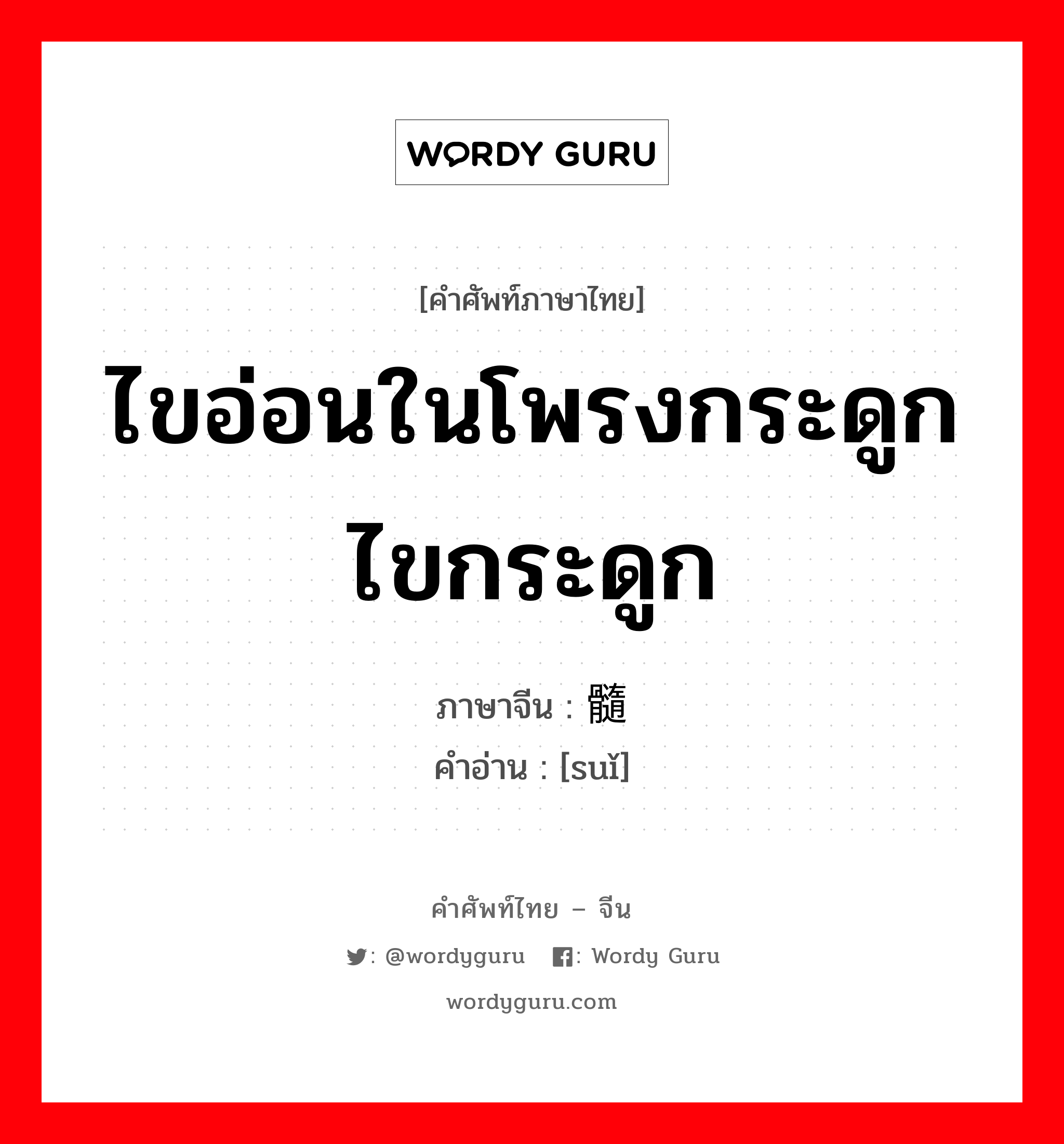 ไขอ่อนในโพรงกระดูก ไขกระดูก ภาษาจีนคืออะไร, คำศัพท์ภาษาไทย - จีน ไขอ่อนในโพรงกระดูก ไขกระดูก ภาษาจีน 髓 คำอ่าน [suǐ]