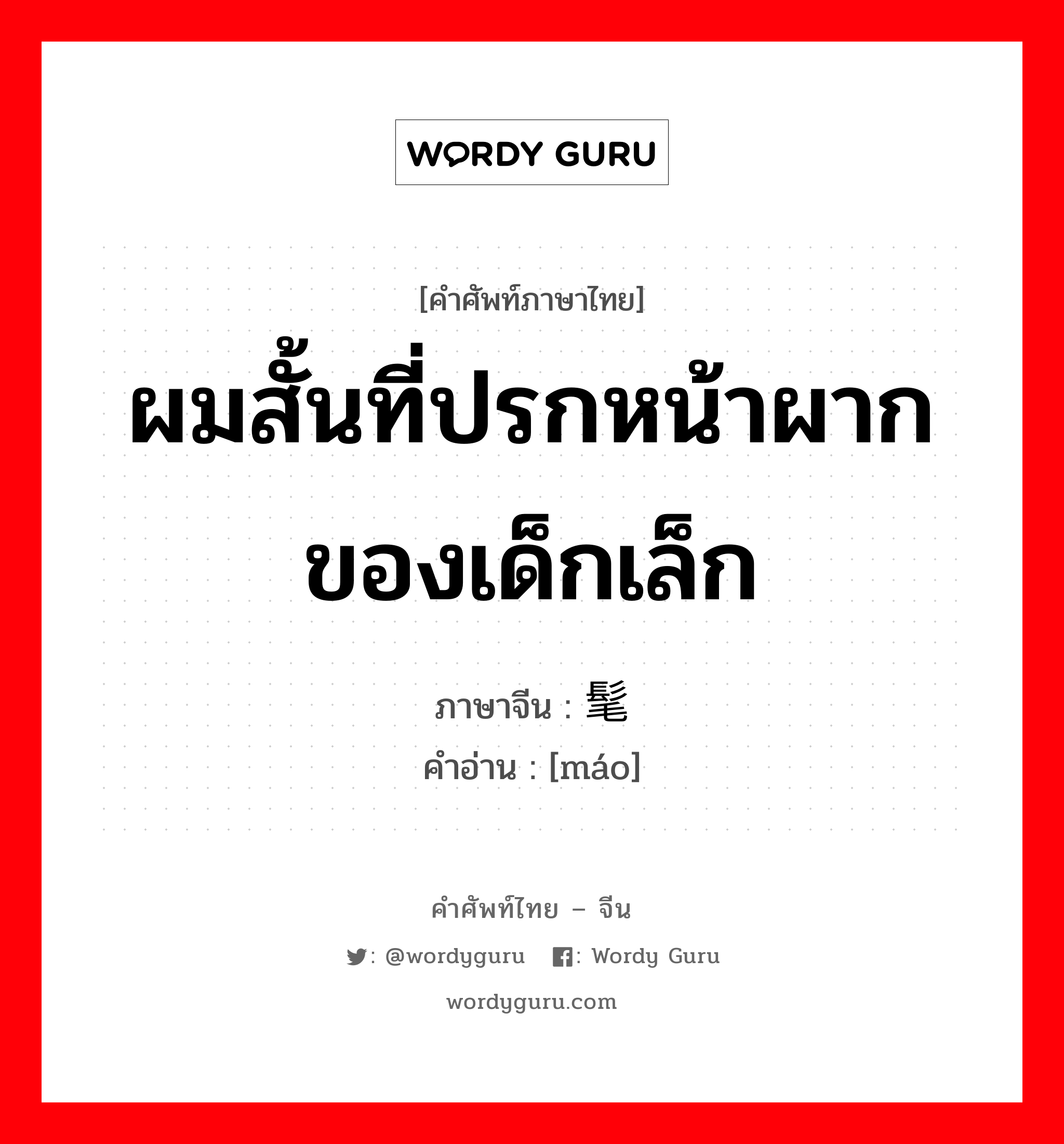 ผมสั้นที่ปรกหน้าผากของเด็กเล็ก ภาษาจีนคืออะไร, คำศัพท์ภาษาไทย - จีน ผมสั้นที่ปรกหน้าผากของเด็กเล็ก ภาษาจีน 髦 คำอ่าน [máo]