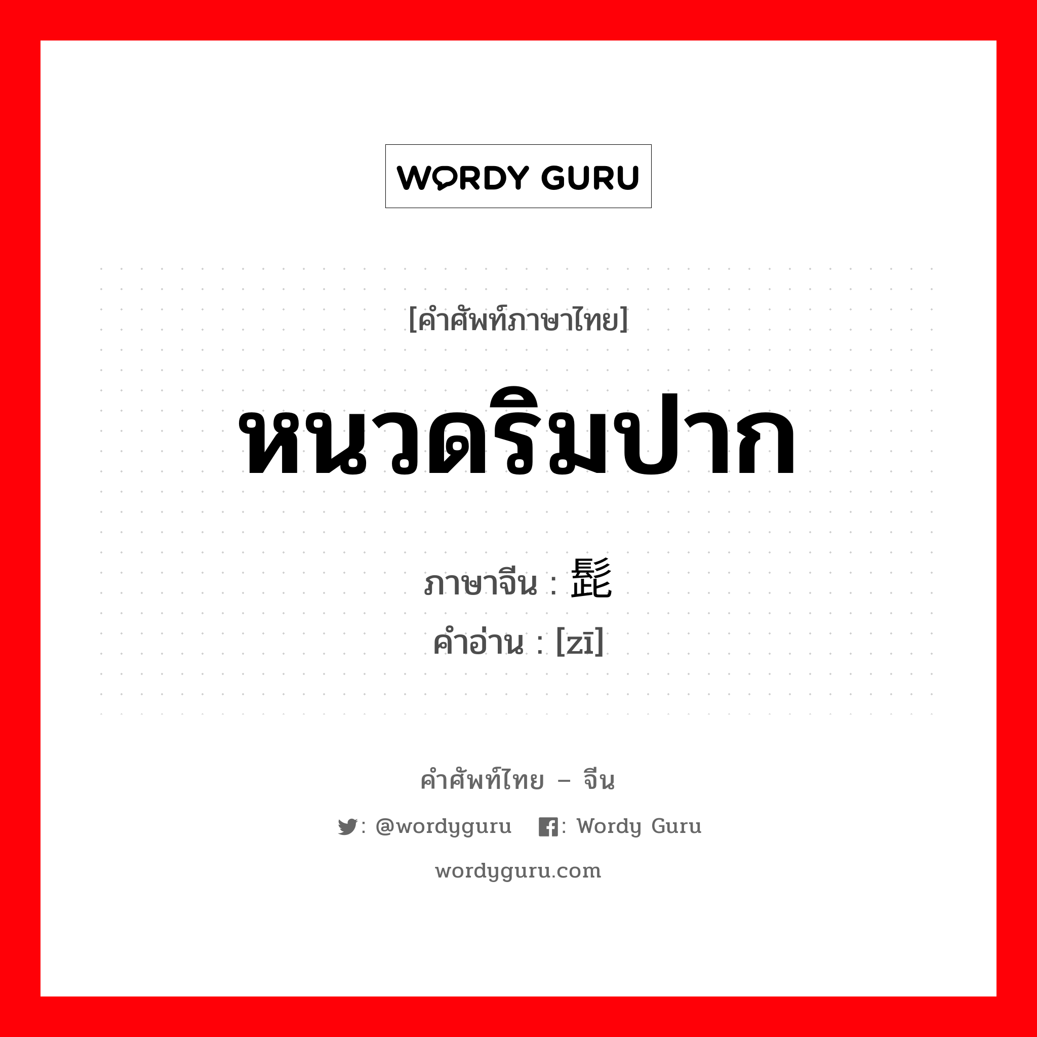 หนวดริมปาก ภาษาจีนคืออะไร, คำศัพท์ภาษาไทย - จีน หนวดริมปาก ภาษาจีน 髭 คำอ่าน [zī]