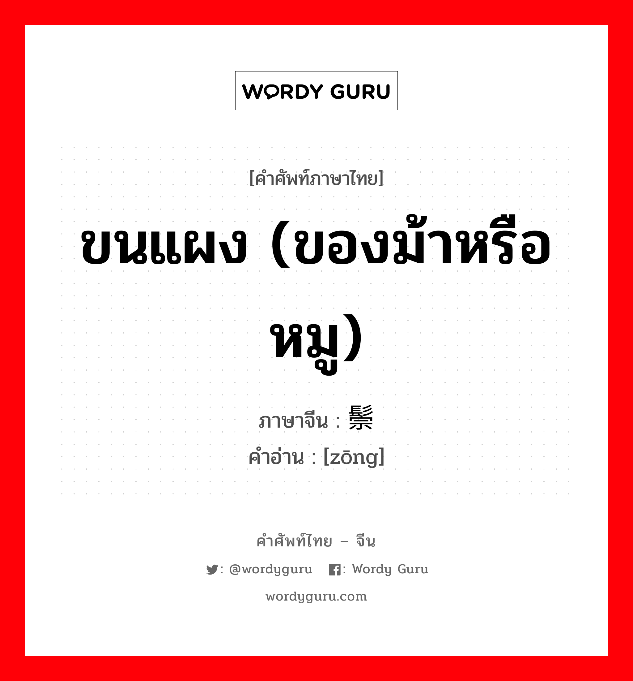 ขนแผง (ของม้าหรือหมู) ภาษาจีนคืออะไร, คำศัพท์ภาษาไทย - จีน ขนแผง (ของม้าหรือหมู) ภาษาจีน 鬃 คำอ่าน [zōng]