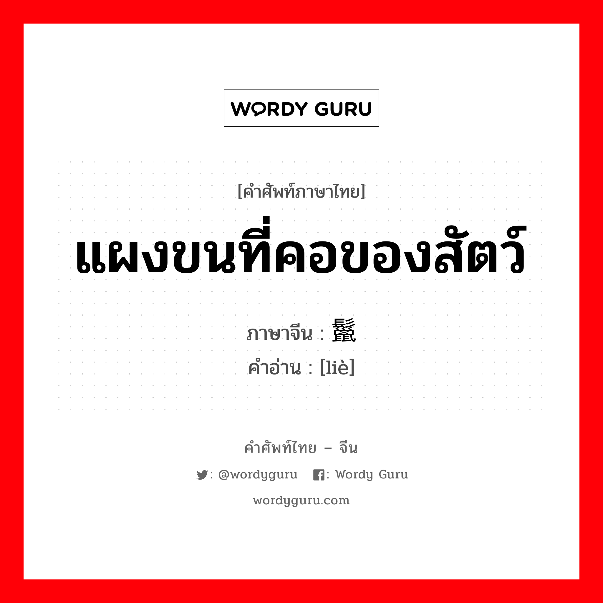 แผงขนที่คอของสัตว์ ภาษาจีนคืออะไร, คำศัพท์ภาษาไทย - จีน แผงขนที่คอของสัตว์ ภาษาจีน 鬣 คำอ่าน [liè]