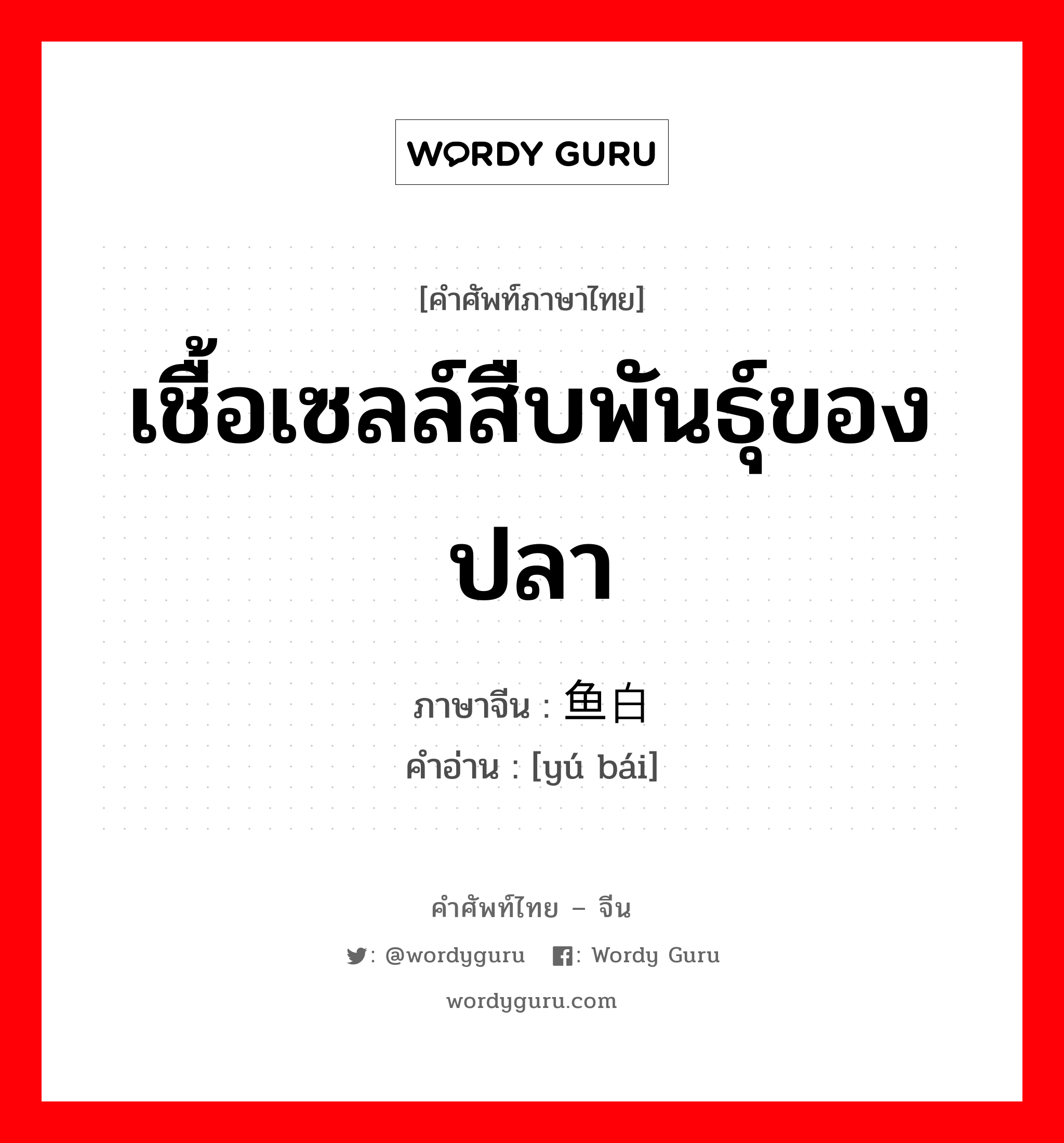 เชื้อเซลล์สืบพันธุ์ของปลา ภาษาจีนคืออะไร, คำศัพท์ภาษาไทย - จีน เชื้อเซลล์สืบพันธุ์ของปลา ภาษาจีน 鱼白 คำอ่าน [yú bái]