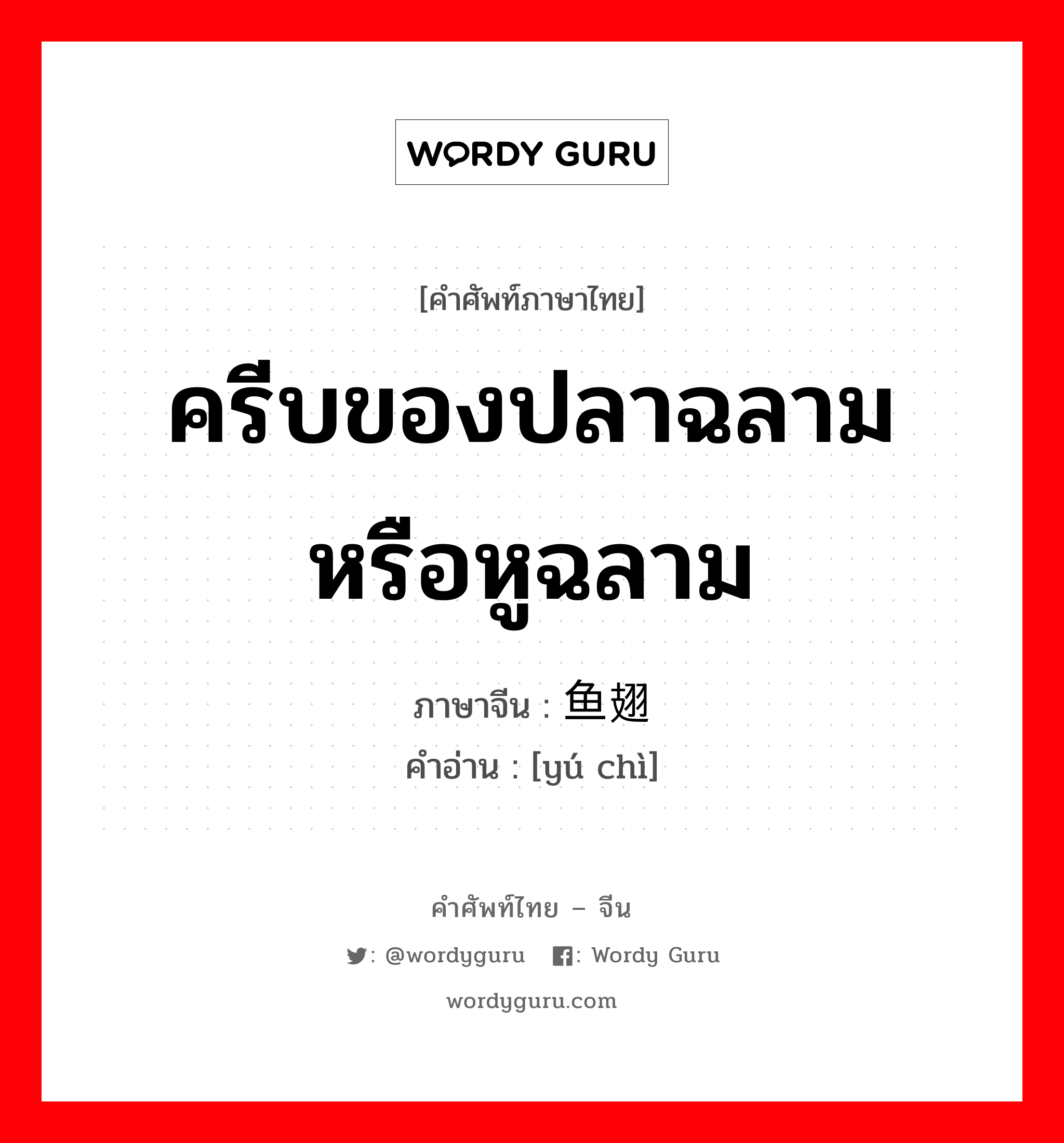 ครีบของปลาฉลามหรือหูฉลาม ภาษาจีนคืออะไร, คำศัพท์ภาษาไทย - จีน ครีบของปลาฉลามหรือหูฉลาม ภาษาจีน 鱼翅 คำอ่าน [yú chì]