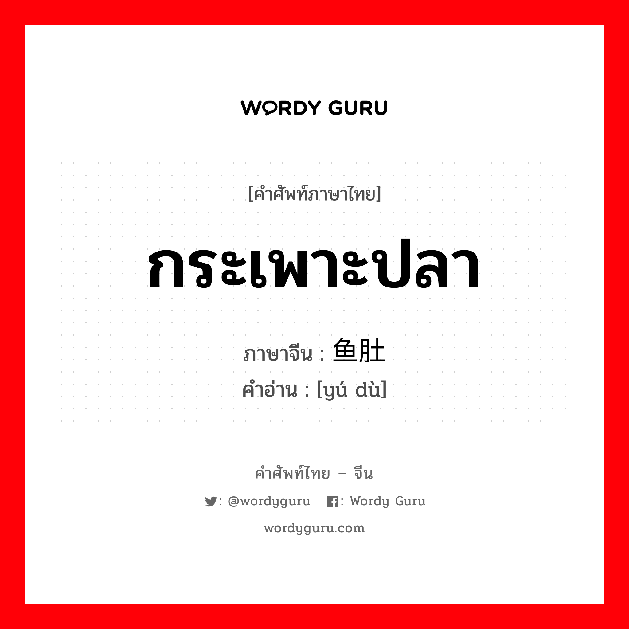 กระเพาะปลา ภาษาจีนคืออะไร, คำศัพท์ภาษาไทย - จีน กระเพาะปลา ภาษาจีน 鱼肚 คำอ่าน [yú dù]