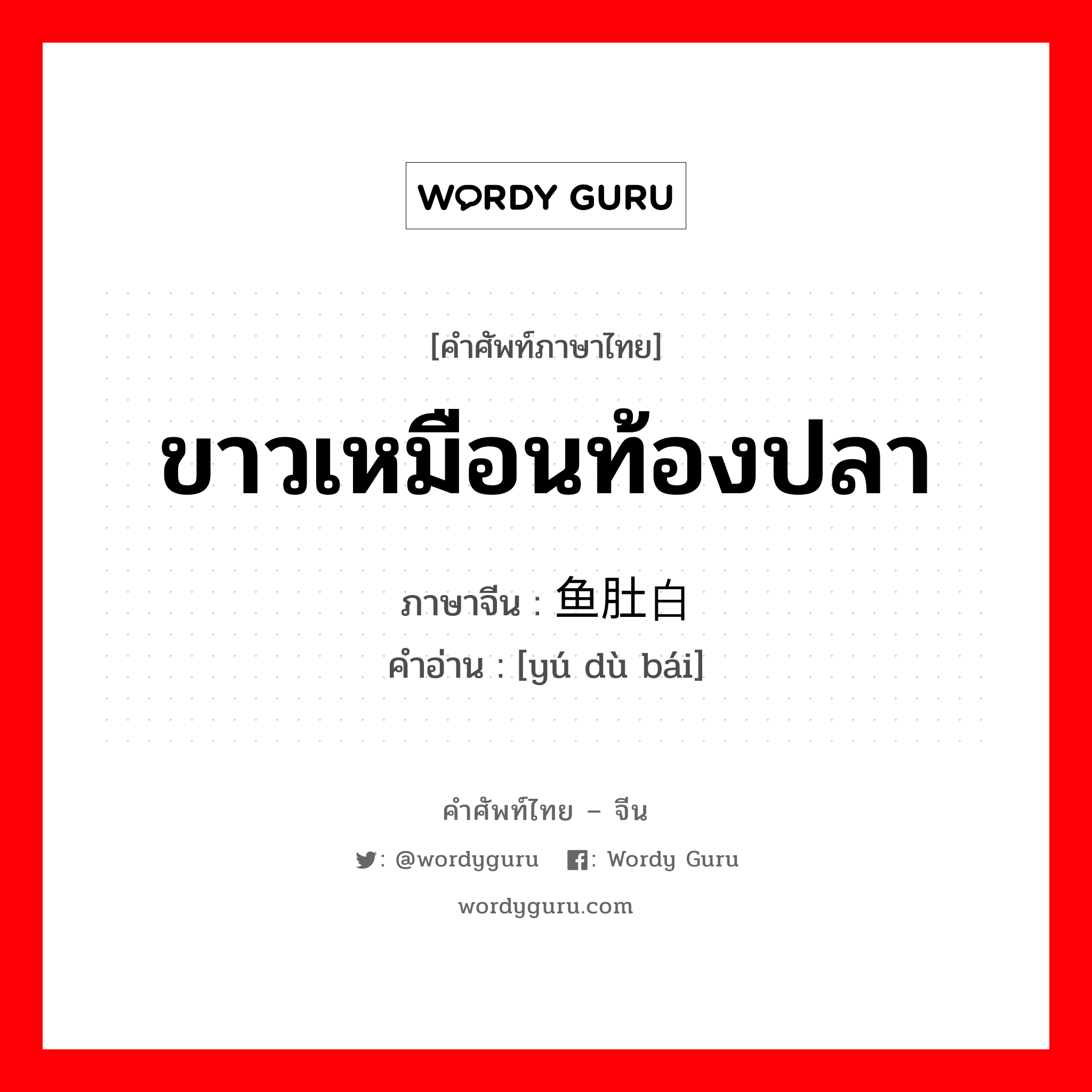 ขาวเหมือนท้องปลา ภาษาจีนคืออะไร, คำศัพท์ภาษาไทย - จีน ขาวเหมือนท้องปลา ภาษาจีน 鱼肚白 คำอ่าน [yú dù bái]