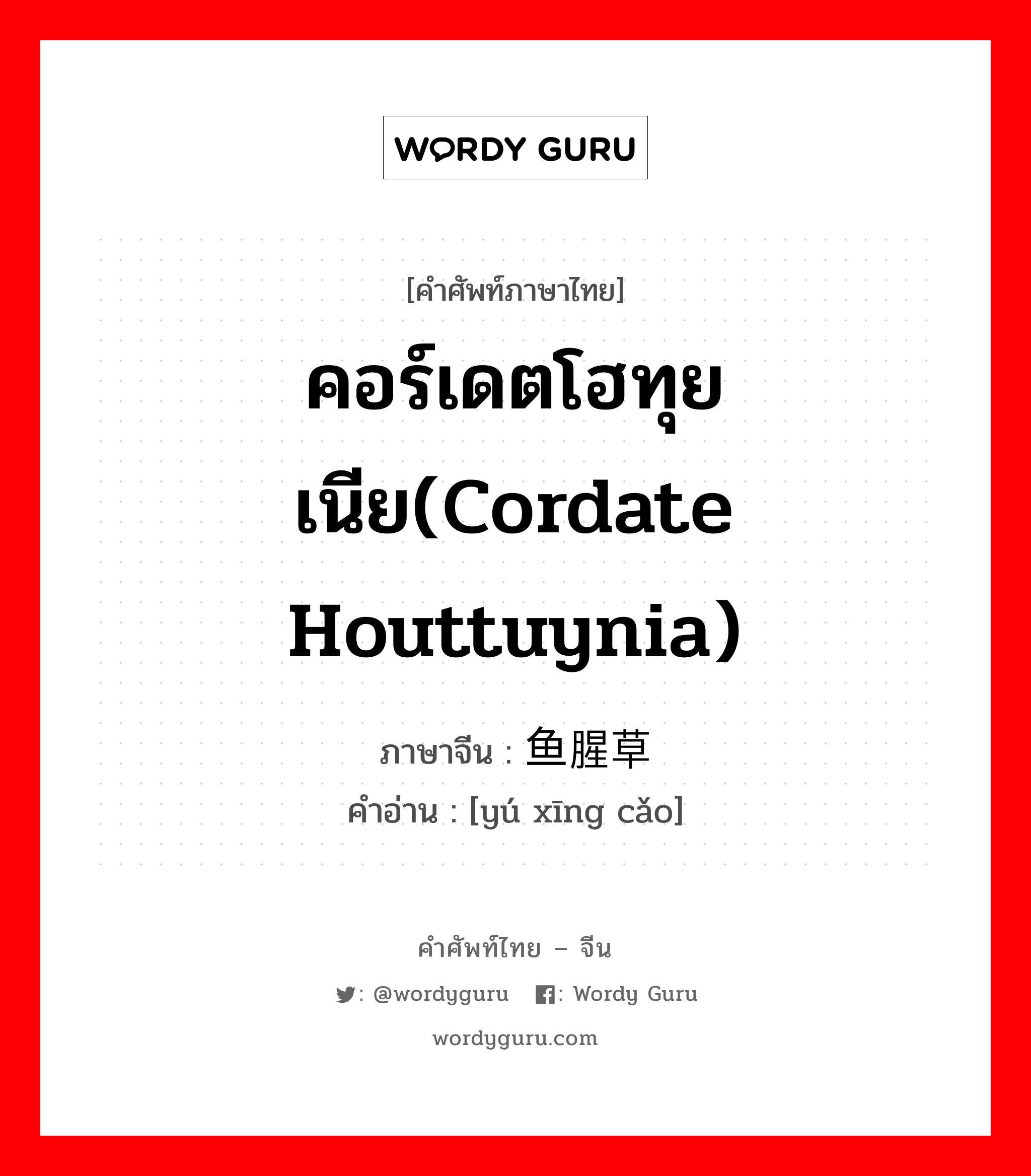 คอร์เดตโฮทุยเนีย(Cordate Houttuynia) ภาษาจีนคืออะไร, คำศัพท์ภาษาไทย - จีน คอร์เดตโฮทุยเนีย(Cordate Houttuynia) ภาษาจีน 鱼腥草 คำอ่าน [yú xīng cǎo]